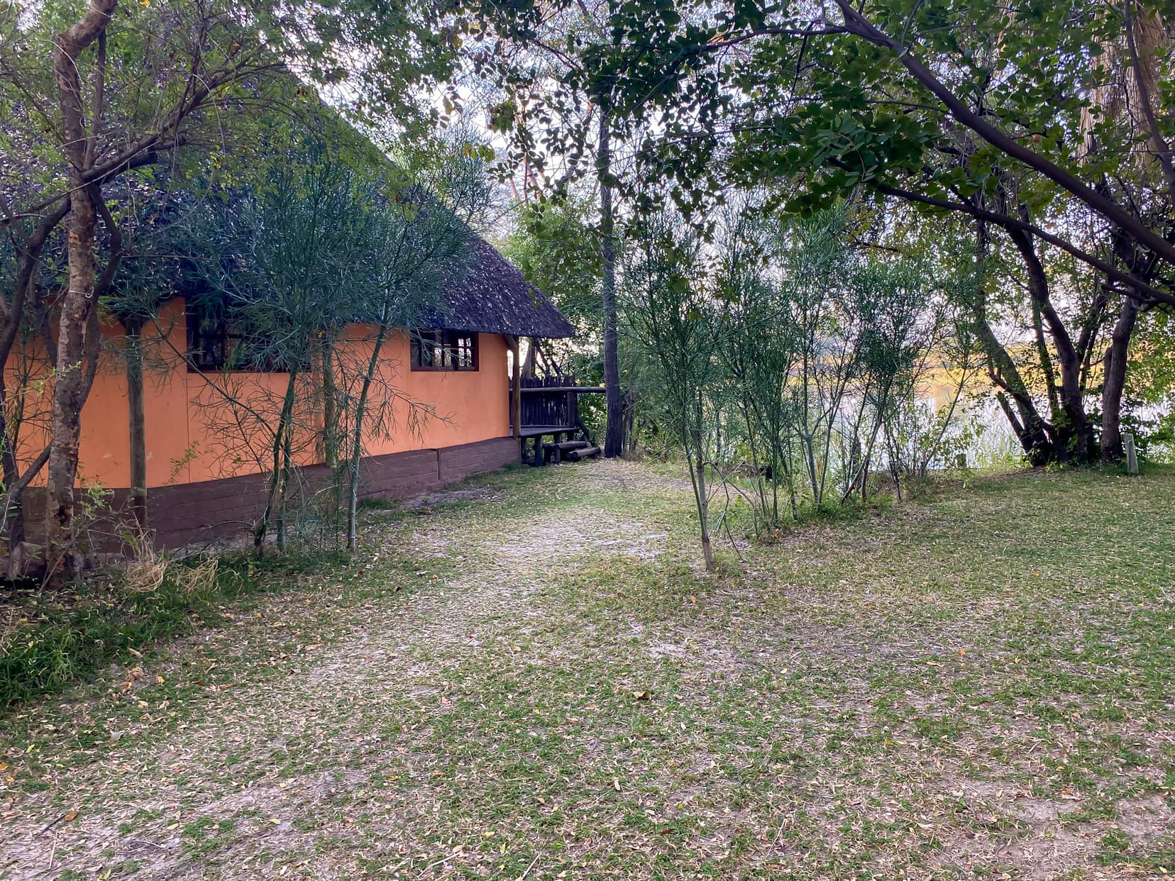 A thatched roof building amongst palm trees and grass