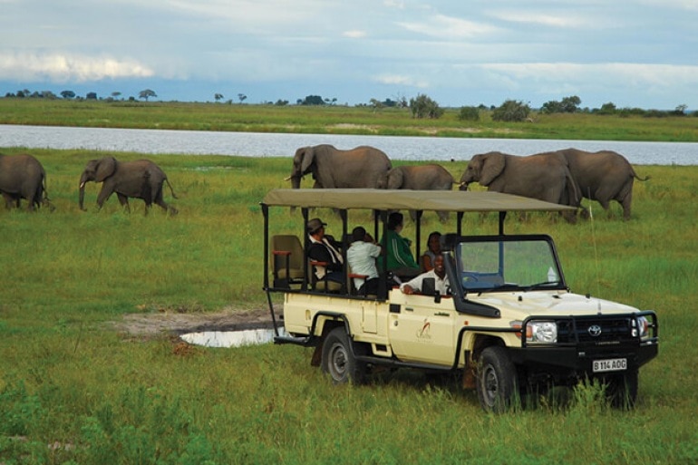 safari game vehicle looking at elephants