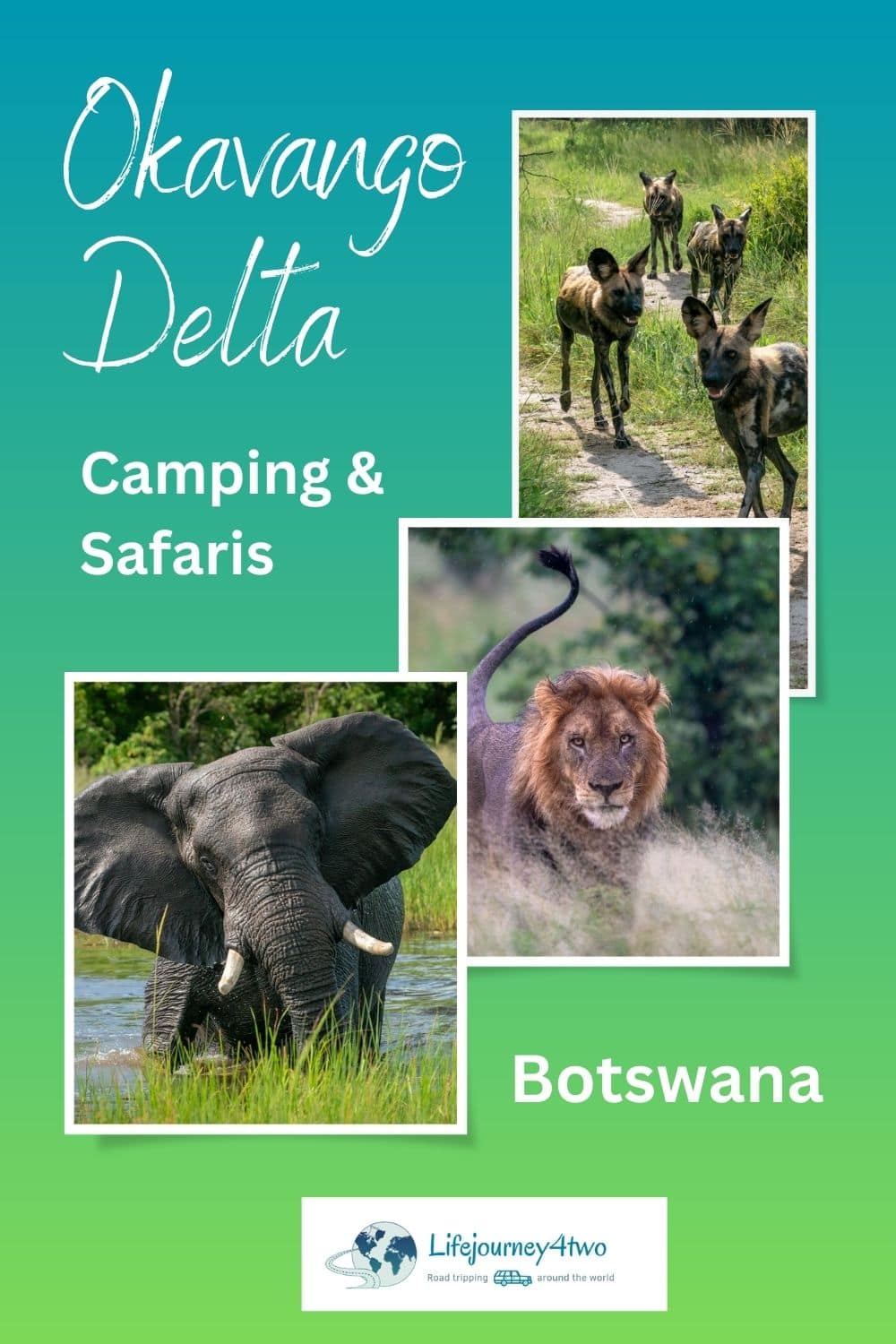 Camping in the Okavango Pinterest pin