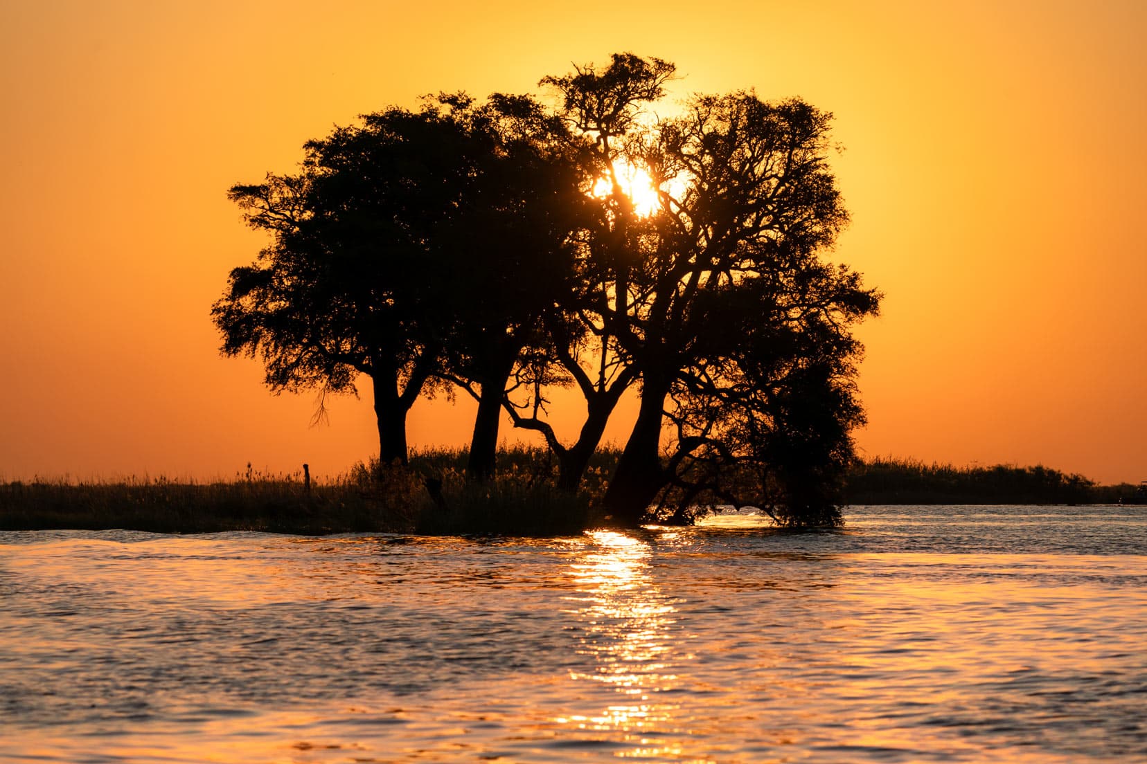 Chobe-River-sunset,-Botswana