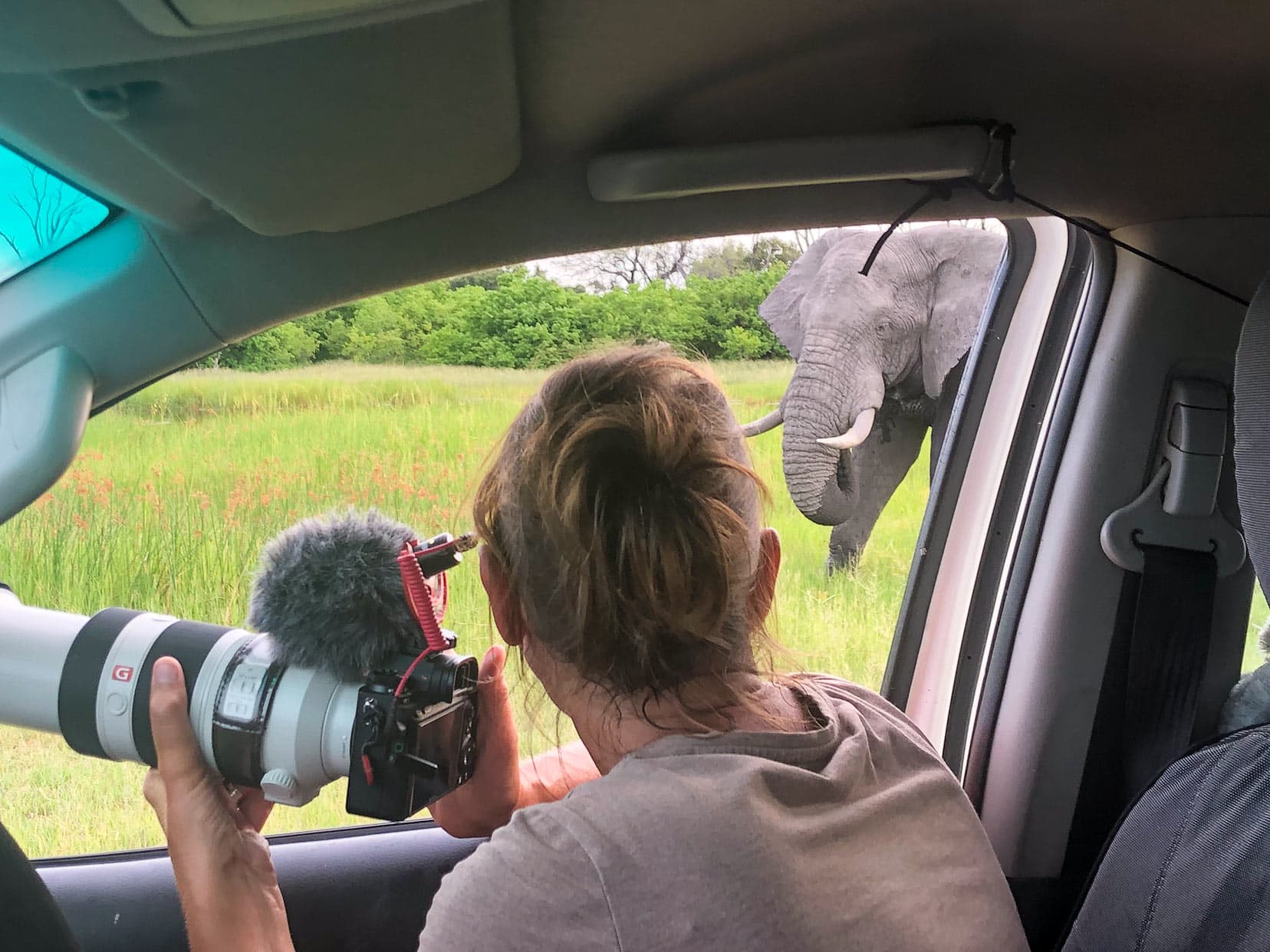 Shelley-looking-at-elephant-from-the-Hilux