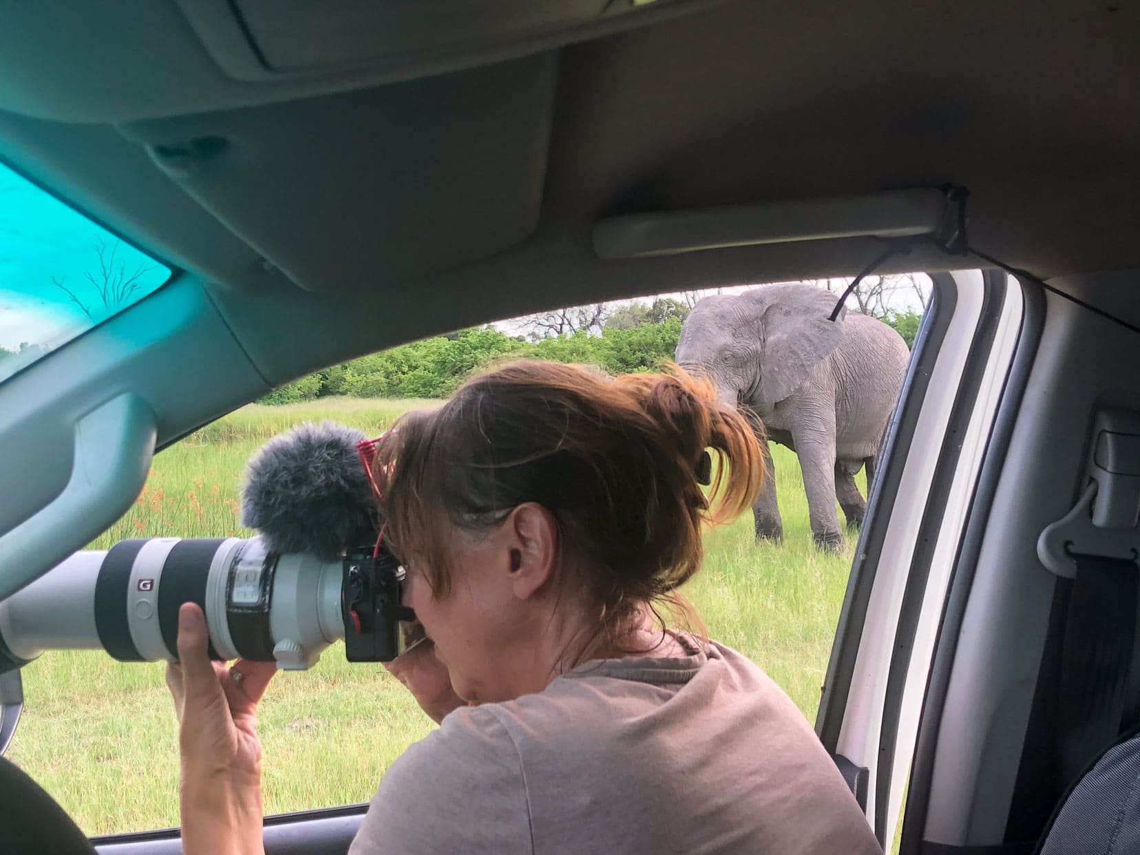 Safari accessory camera -Shelley leaning out a window shooting with Sony-100-400mm-lens-shooting-in-Botswana with elephant in background