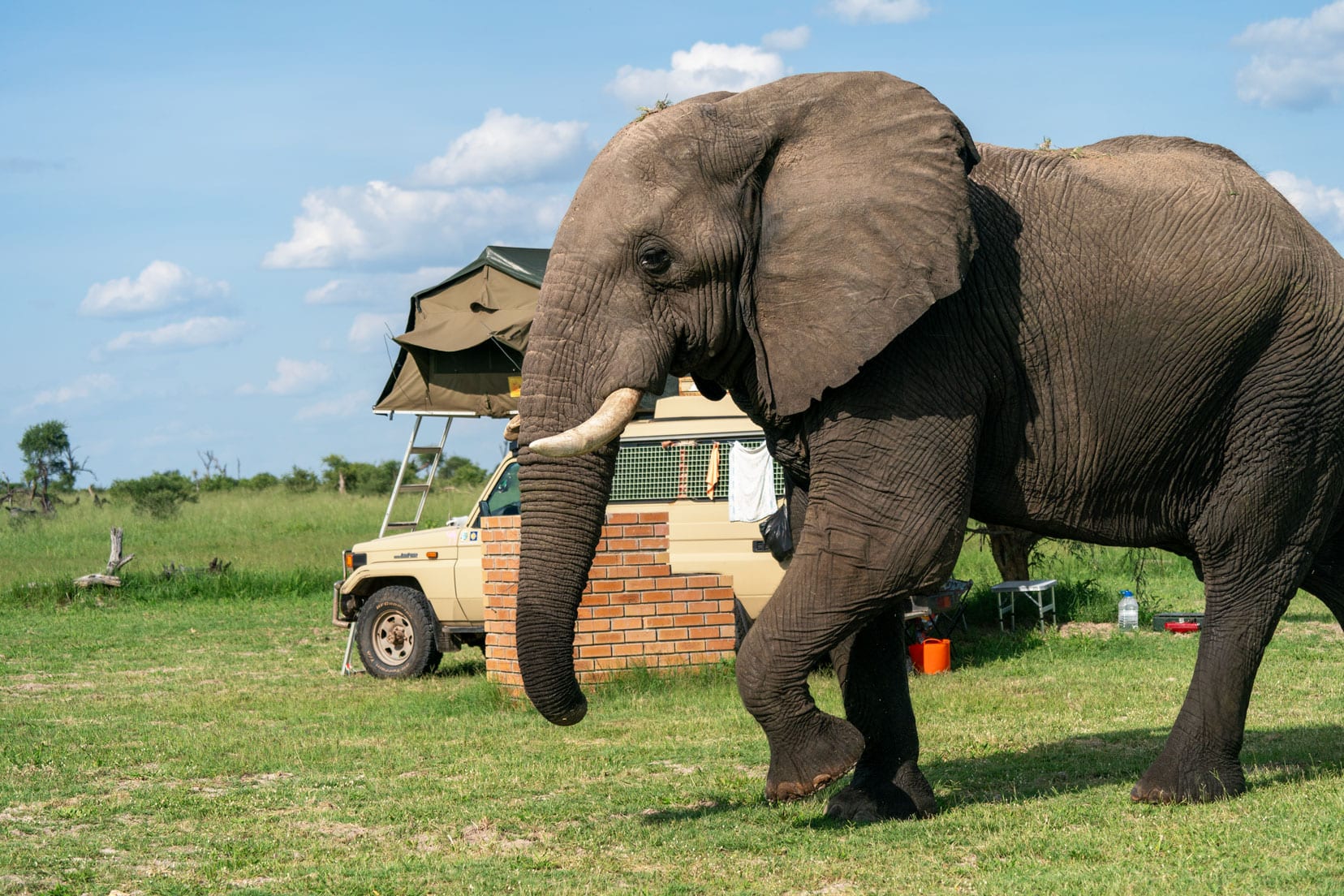 Large elephant walking past a camper at Elephant Sands Camp