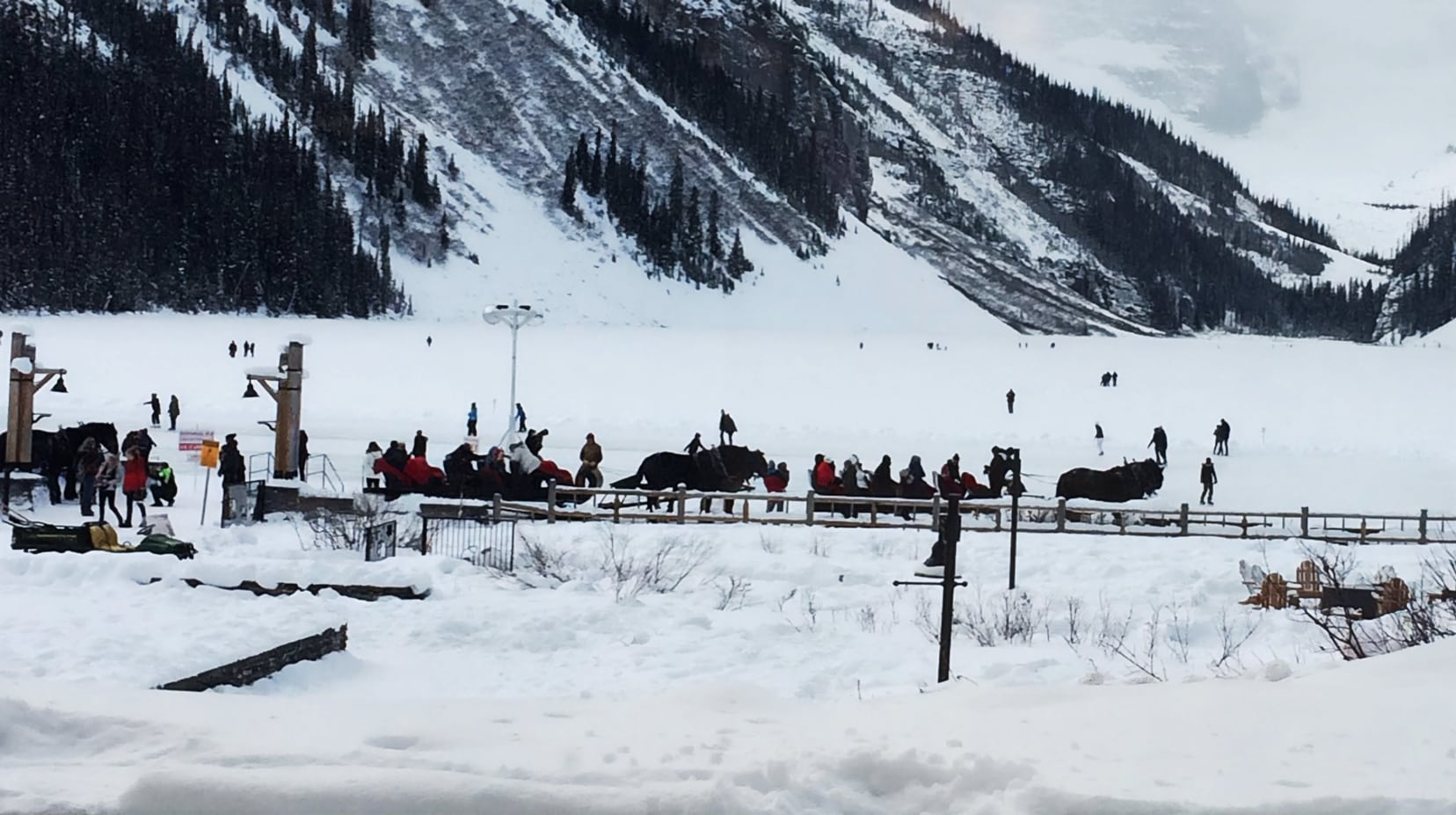 Horse and sleighs in front of Lake Louise in the snow