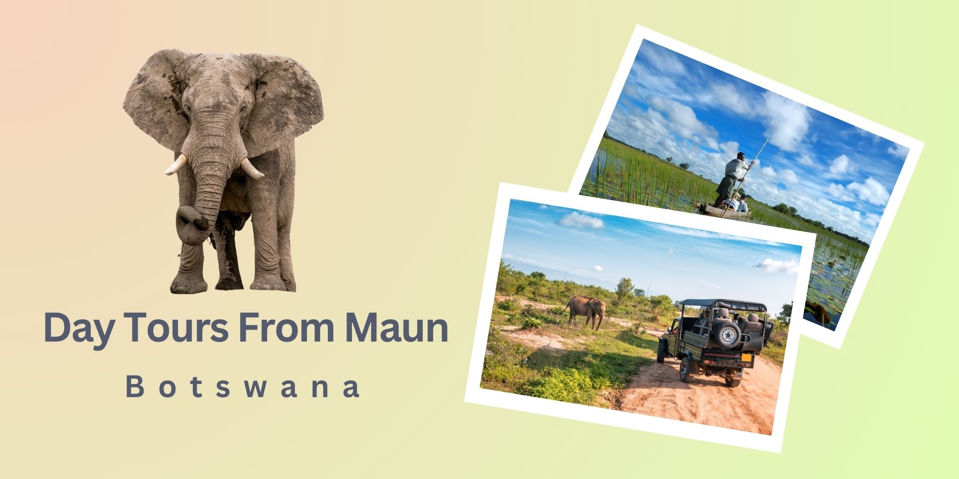 Maun Day Trips header with an elephant and safari vehicle photo