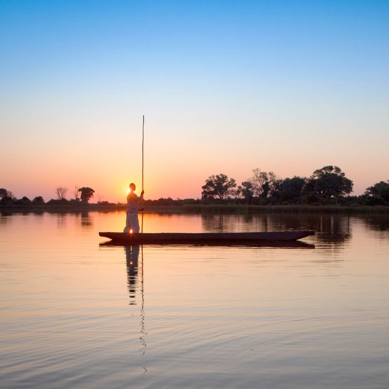 maun day trips poler at dusk on a river