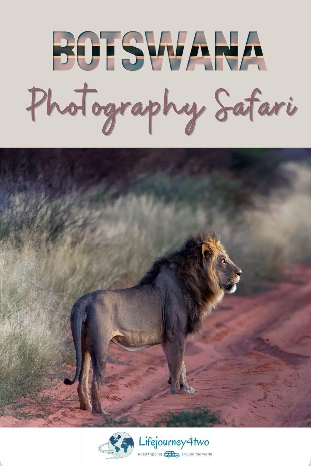 Botswana Photo Safari pinterest pin