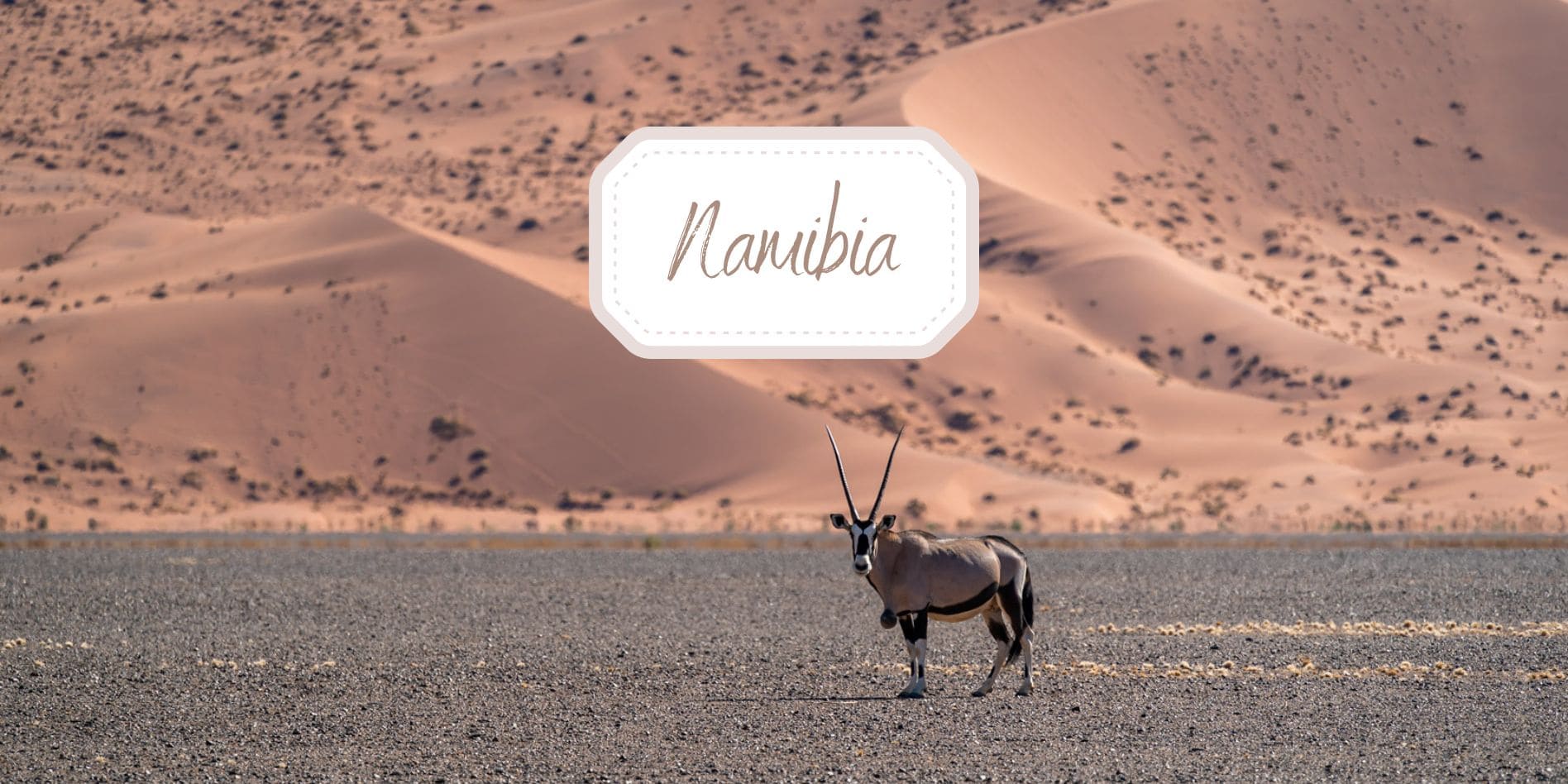 Explore Botswana header of Oryx stood in front of a high sand dune