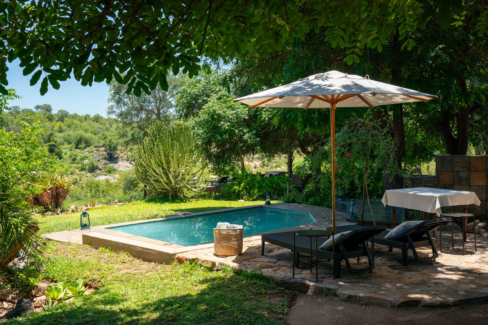 Small swimming pool with deckchairs and african bush view of Klaserie 