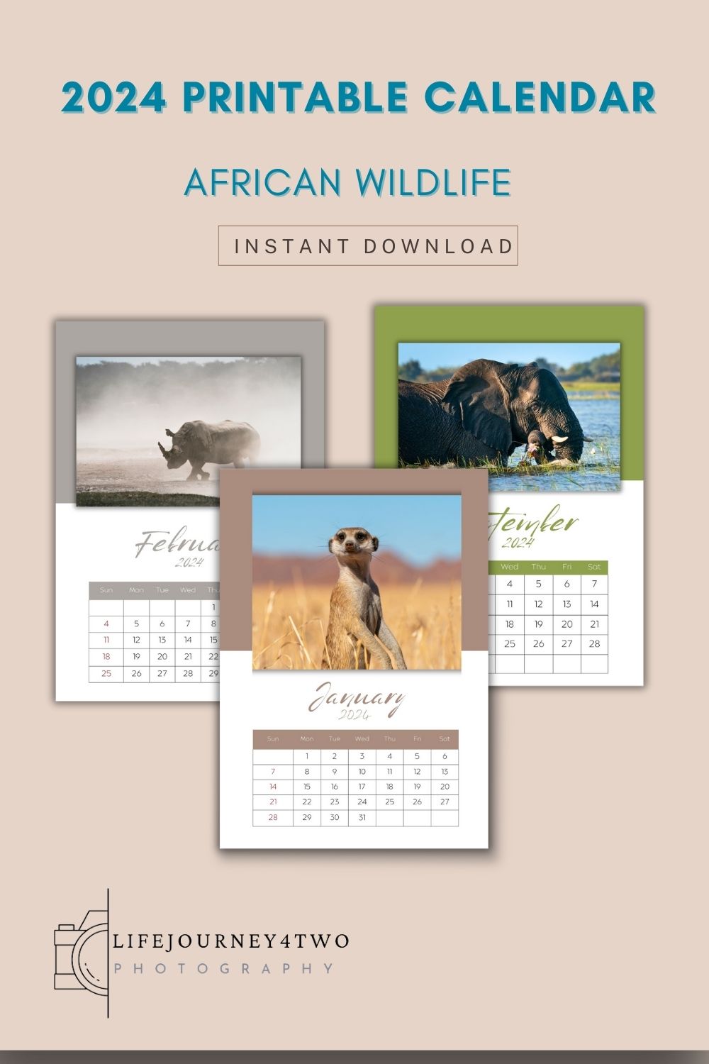 2024 Printable Calendar with three month pages shown - one with a meerkat, another and elephant in water and the third a rhino in dust