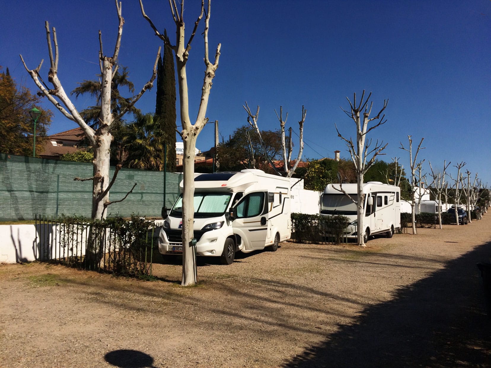 Motorhome parked inn a line in a campsite