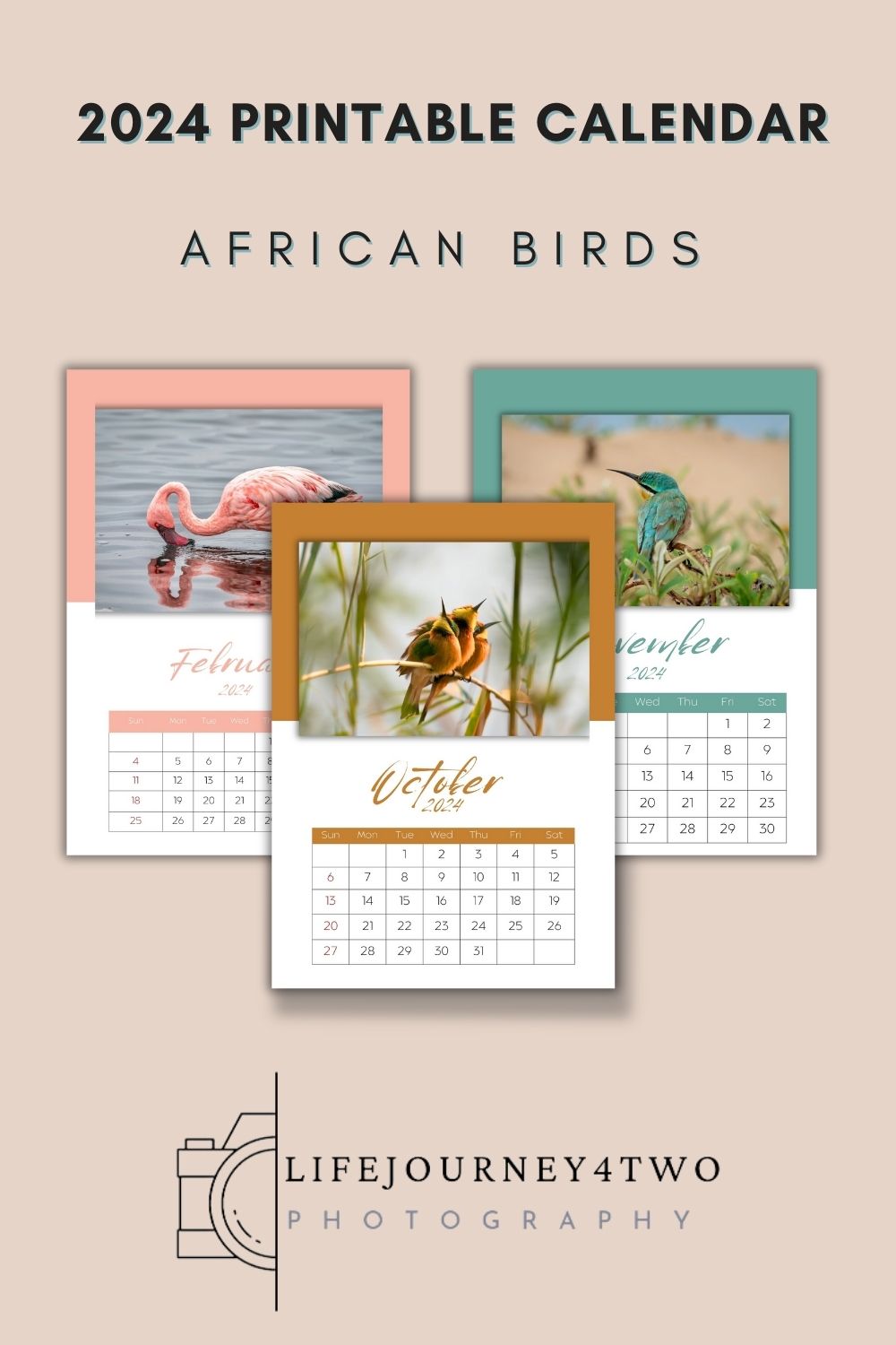 2024 Printable calendar - african wildlife with three months showing