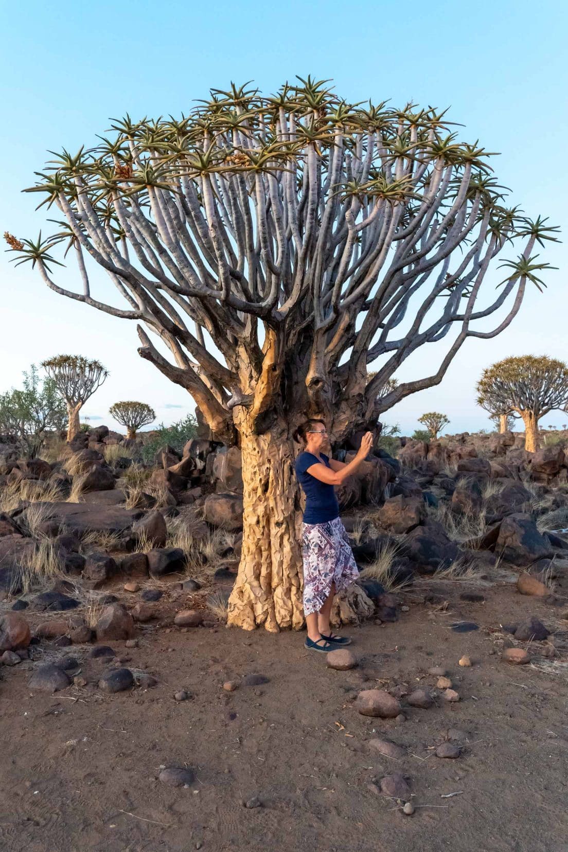 Shelley taking photos at the Quiver tree forest namibia