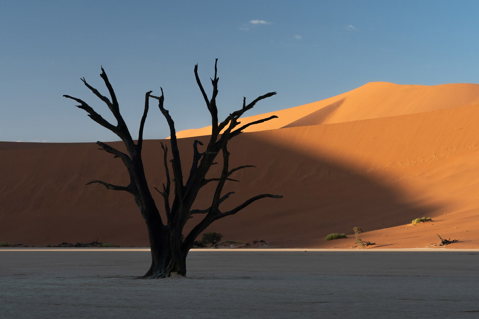 Silhouette of dead tree at Deadvlei with red sand dunes as a backdrop