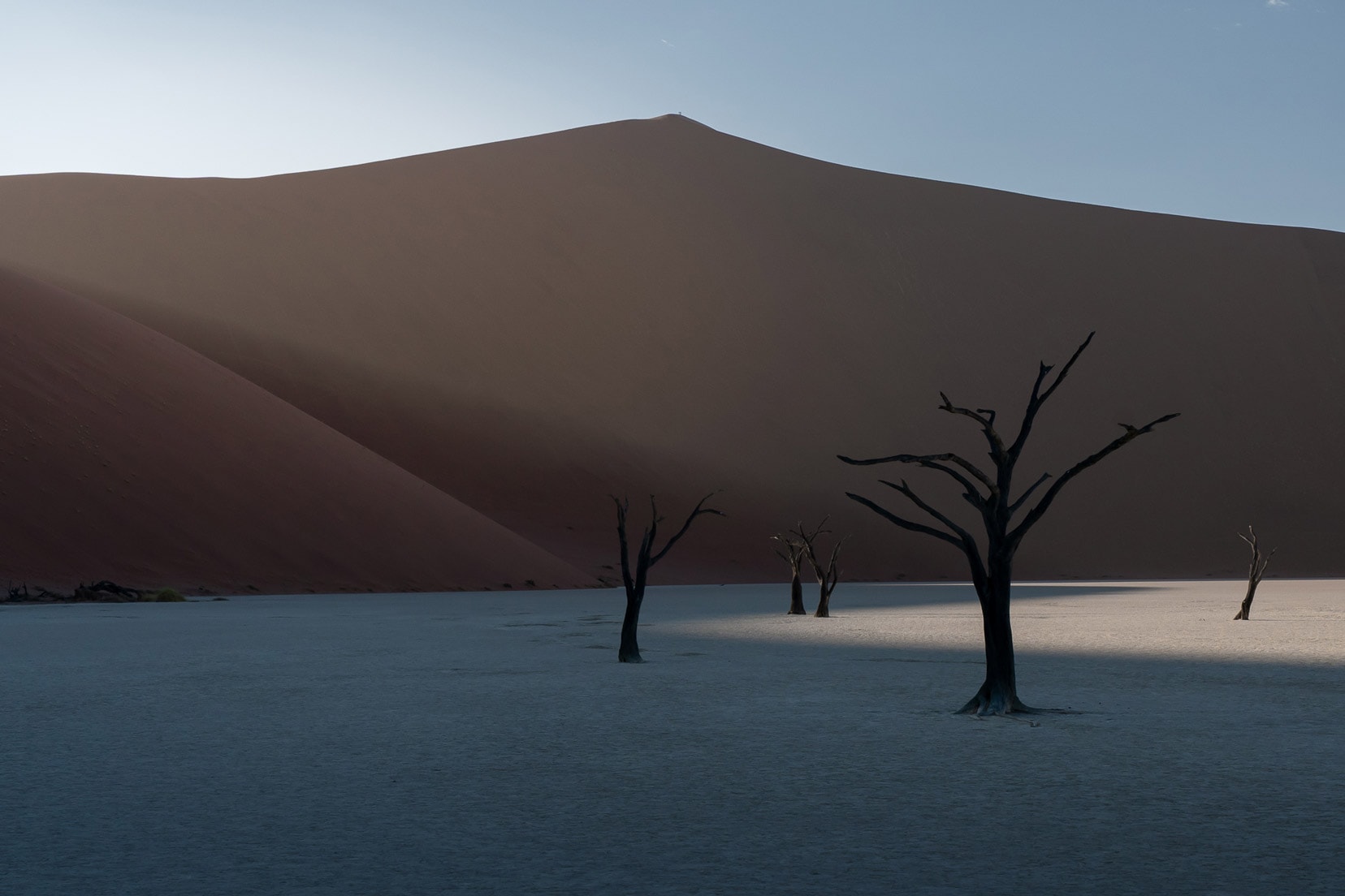Deadvlei in shadow with sun just coming over Big Daddy dune