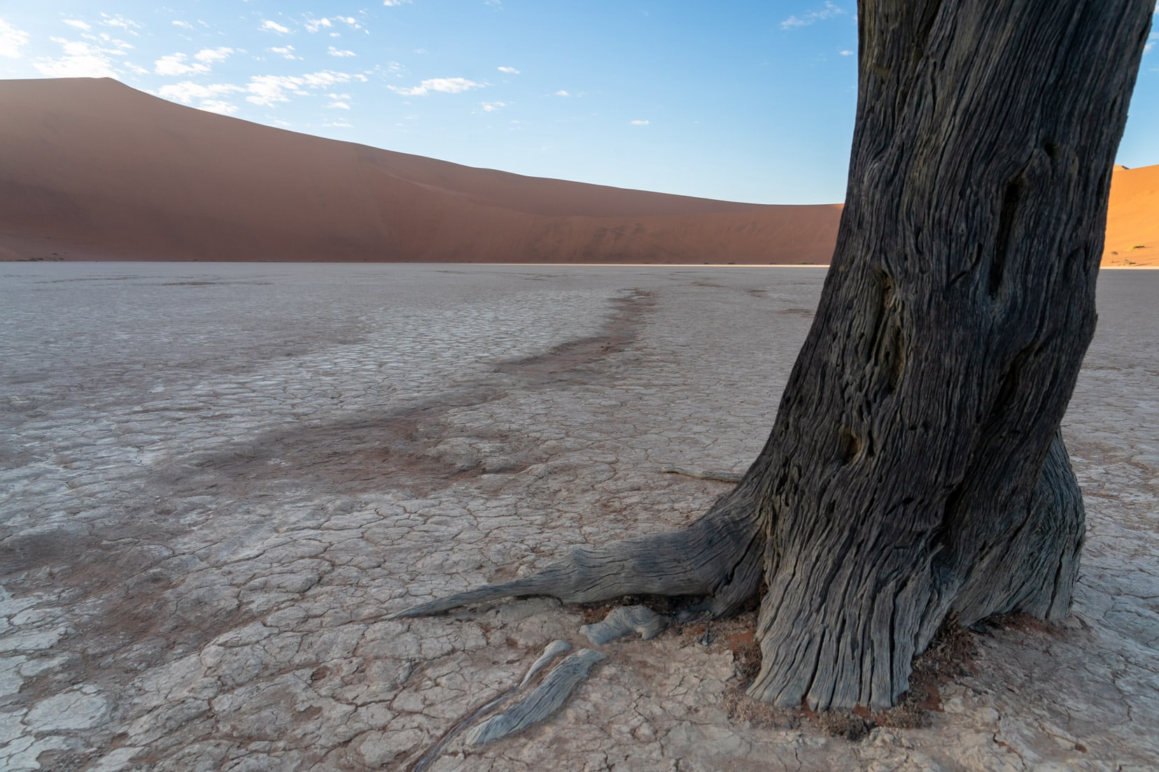 The dry pan of Deadvlei