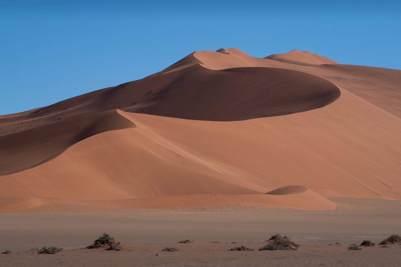 Swirly patterned ridge of red sand dune