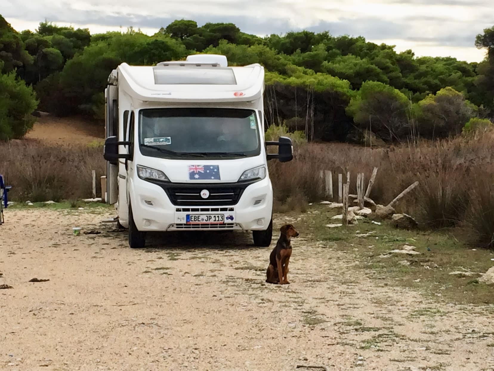 Motorhome parked up with a dog in the front