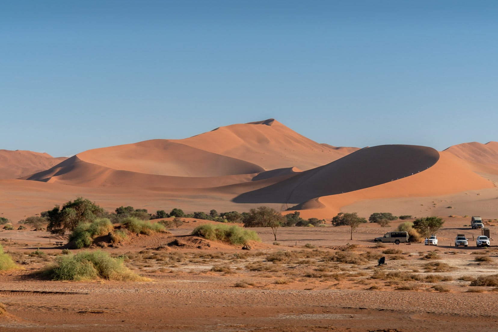 Big-Mama-dune as-seen-from-near-Deadvlei, Sossusvlei