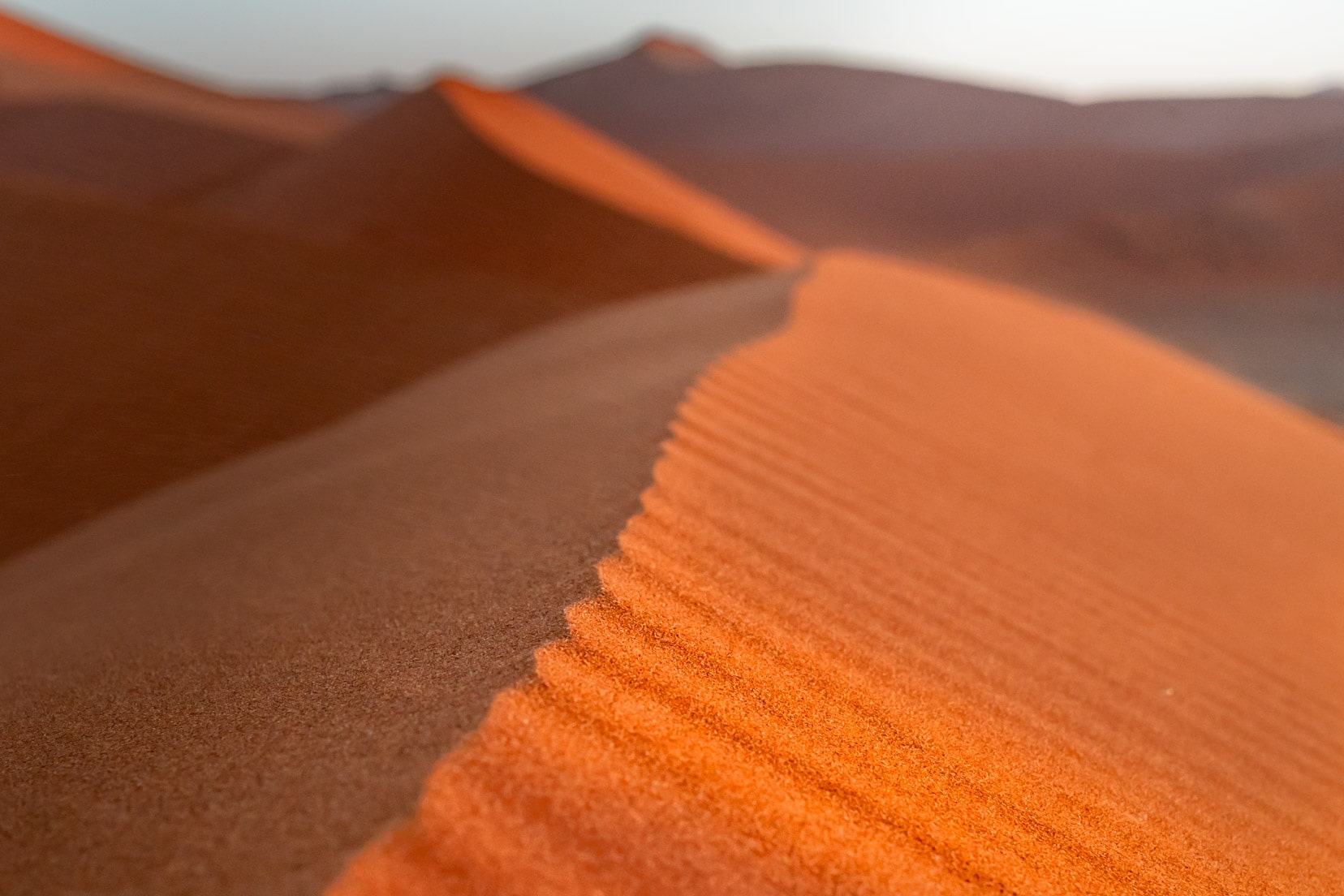 Close-up-of-sand-spine-on-Dune-45,-Sossusvlei