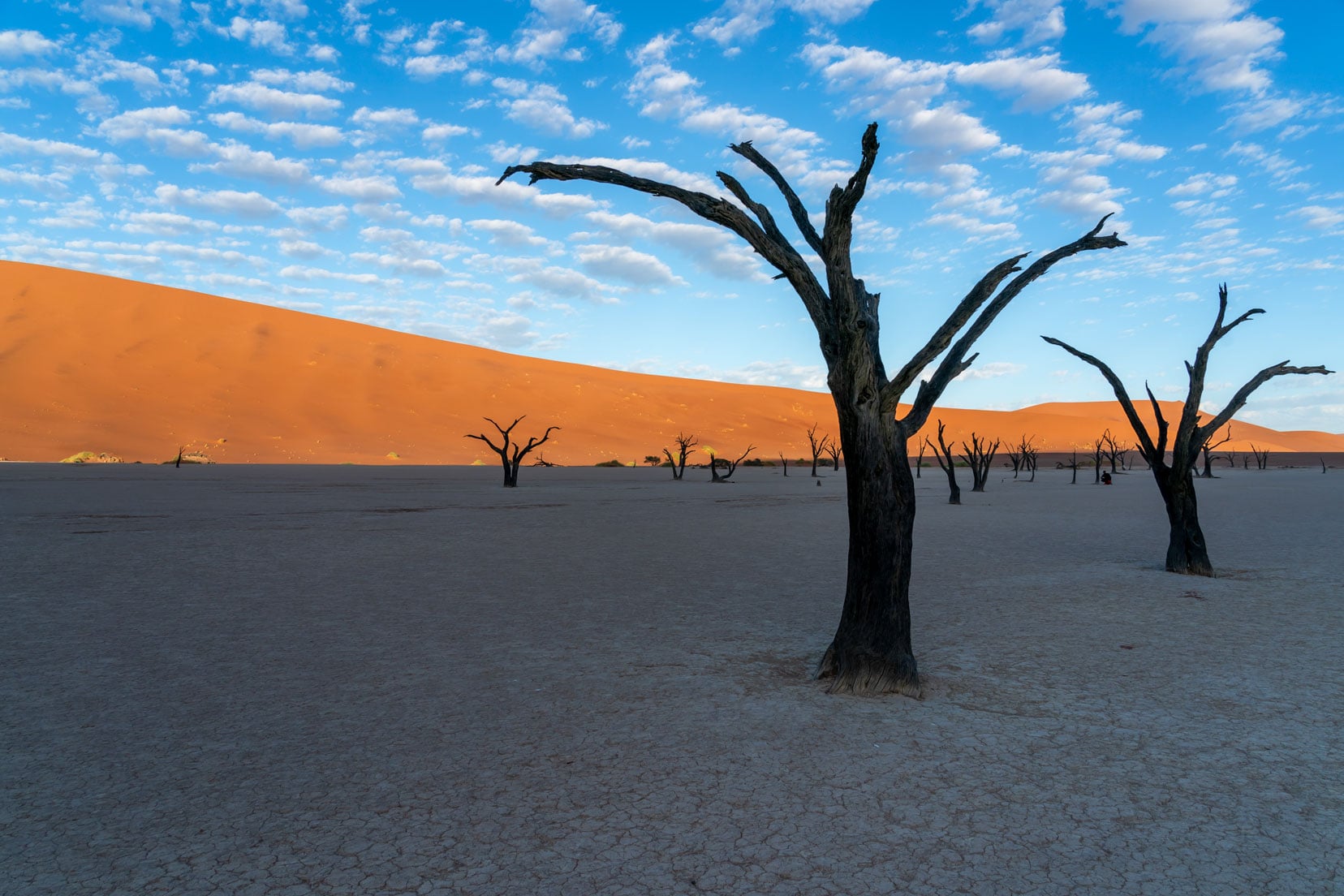 Deadvlei-at-sunrise, Sossusvlei, Namibia