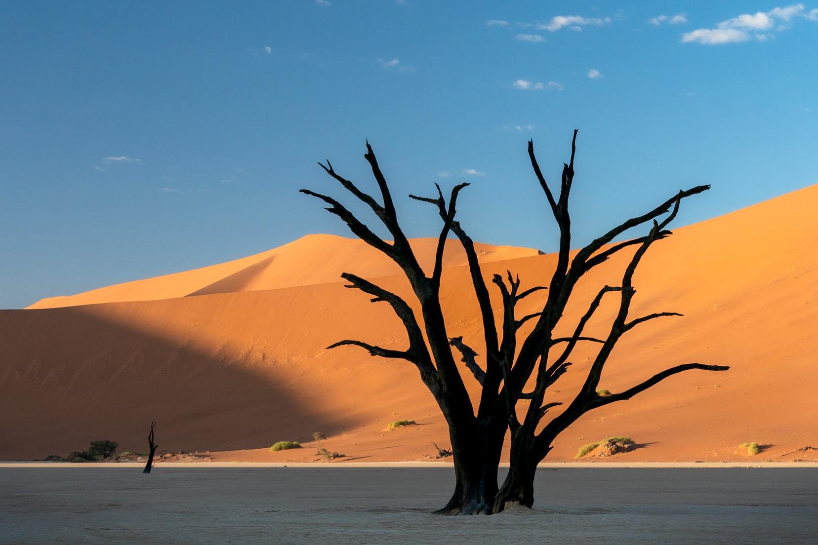 Deadvlei-with-a-couple-of-trees,-Sossusvlei and a rising sun