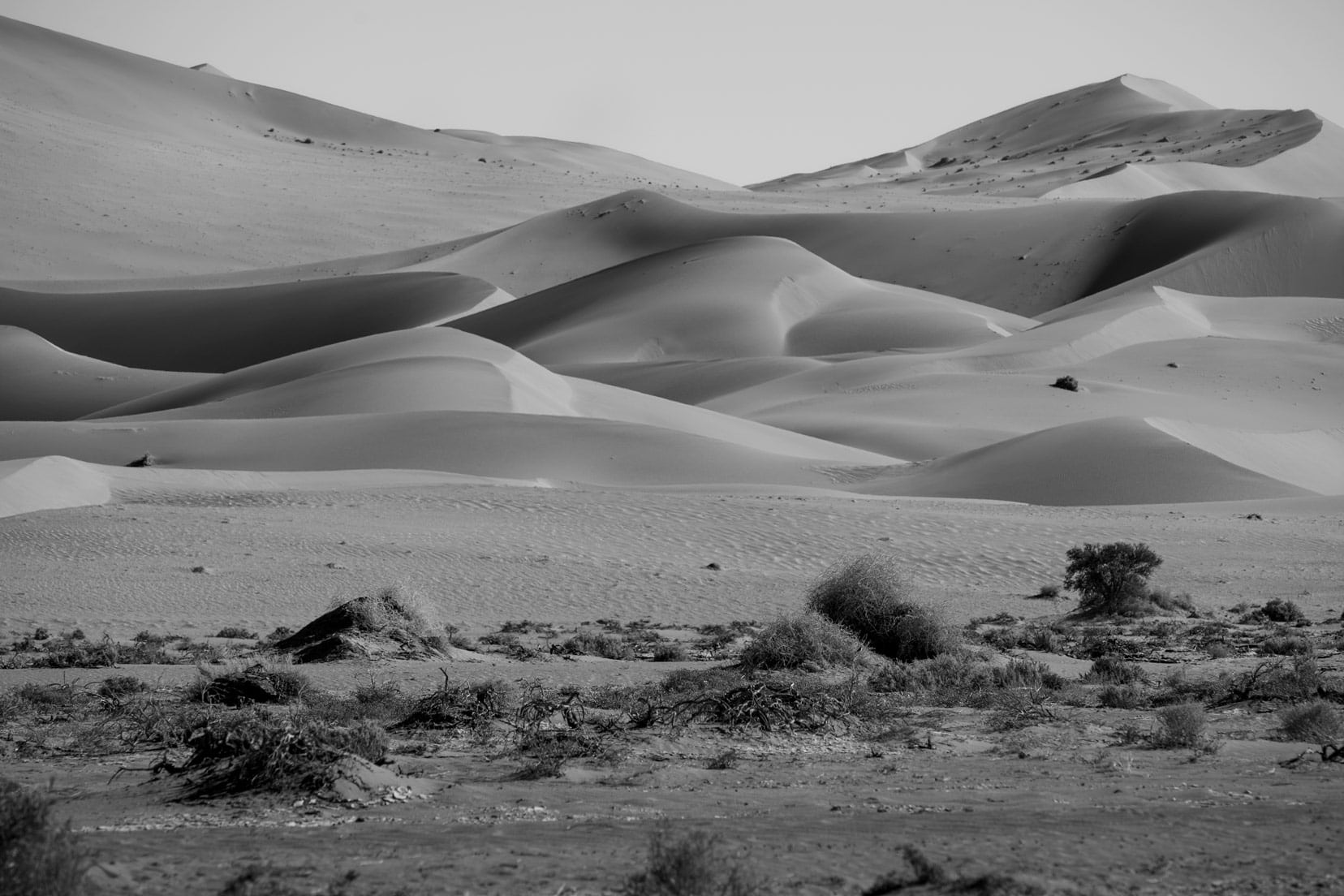 Dune-in-Black & White,-Sossusvlei