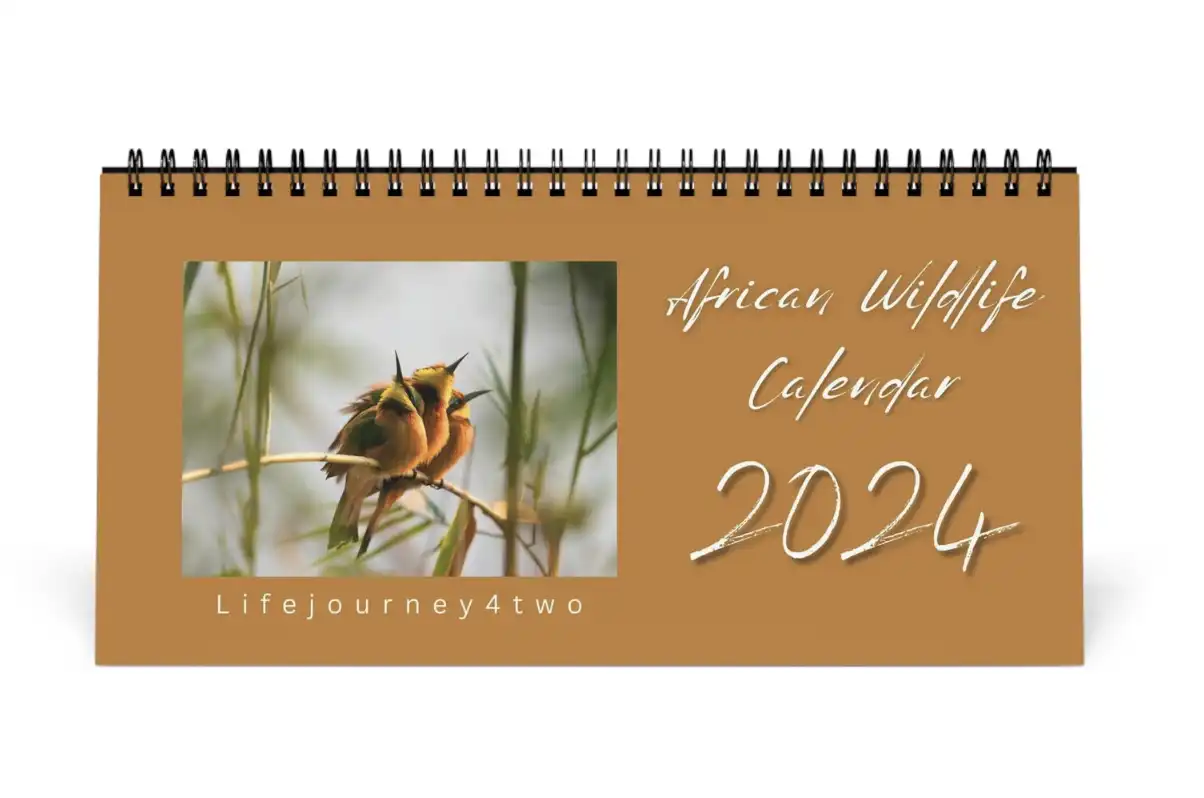 African Wildlife Desk Calendar 2024