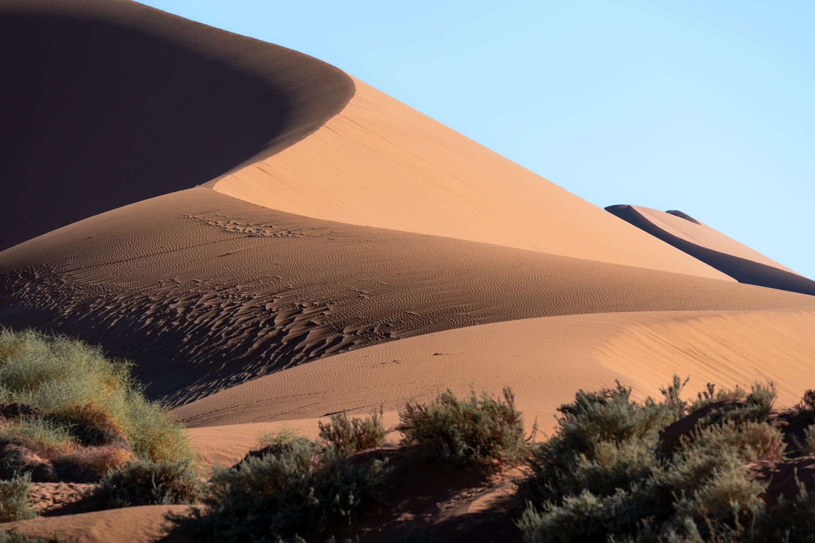 sand-dune-shape of Big Mama,Sossusvlei
