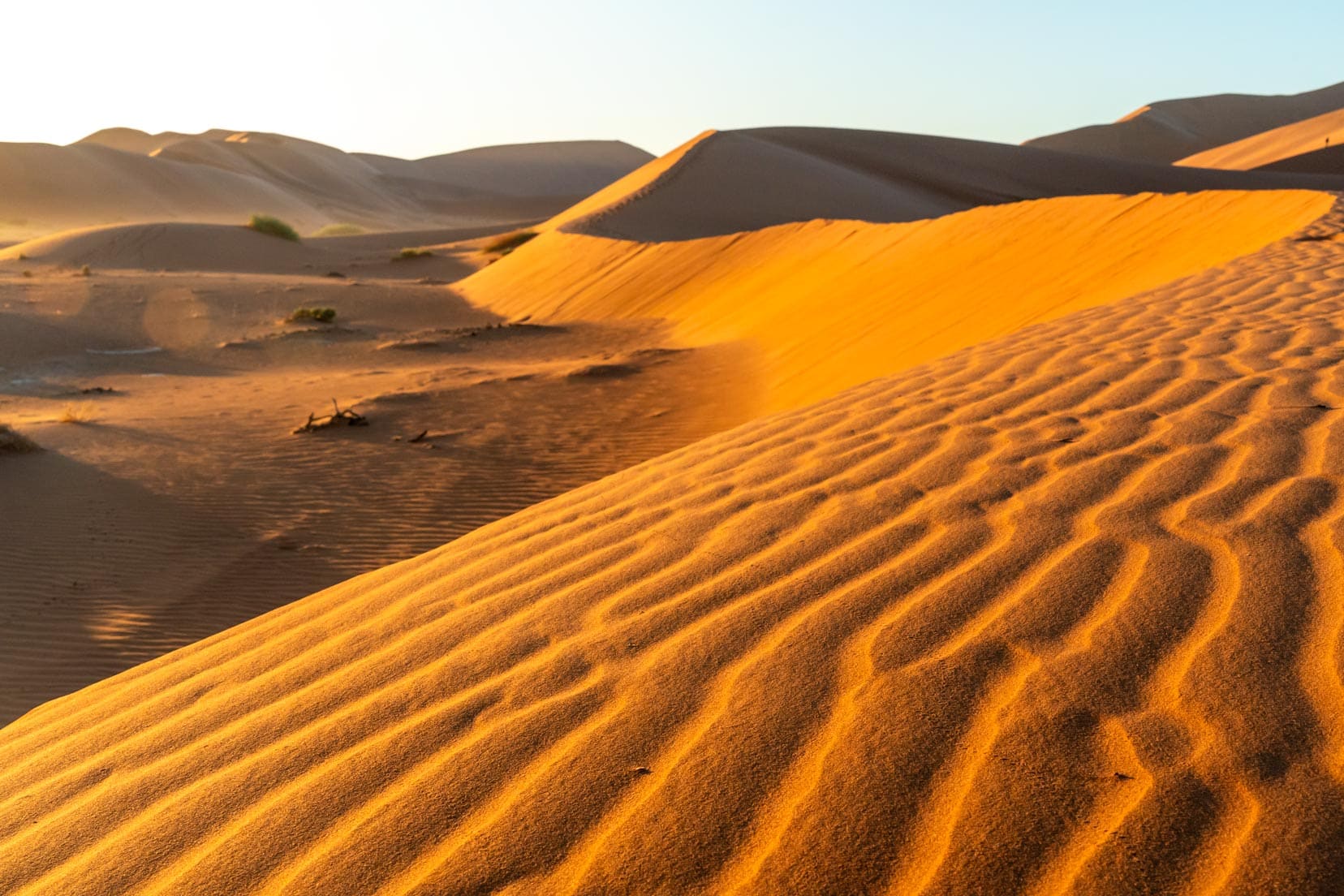 sand-dunes-near-Deadvlei,-Sossusvlei
