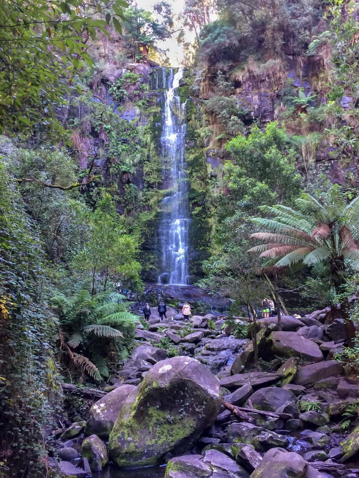 This waterfall amongst lush vegetation