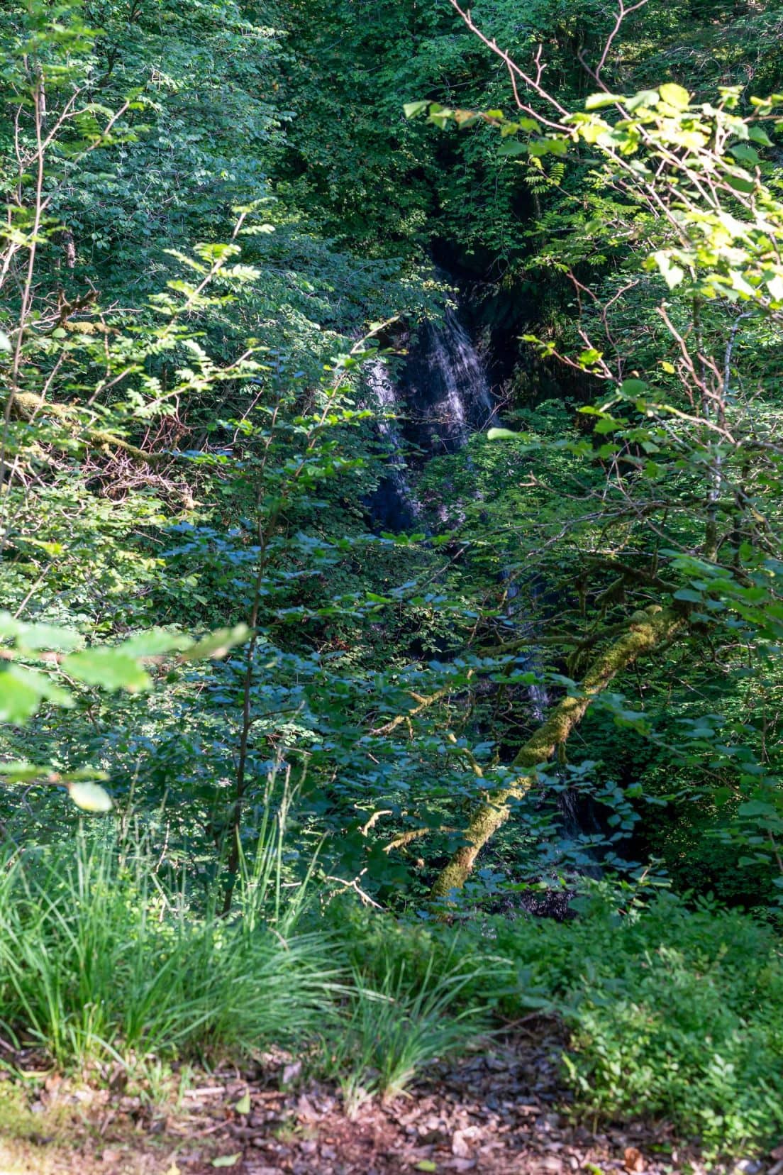 Glimpses-of-the-Falls-of-Glen-Creran