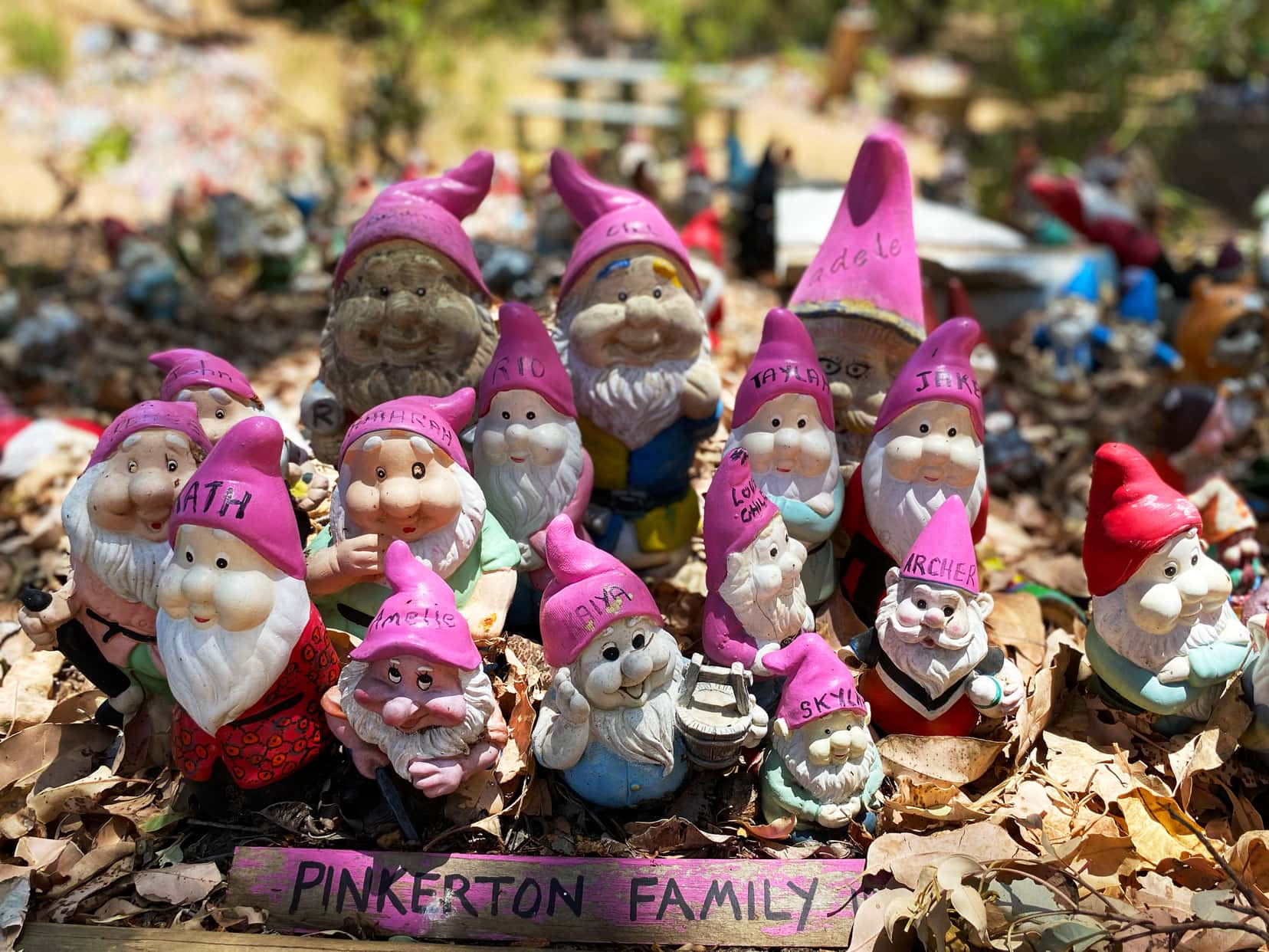 A group of gnomes in pink hats representing the Pinkerton family