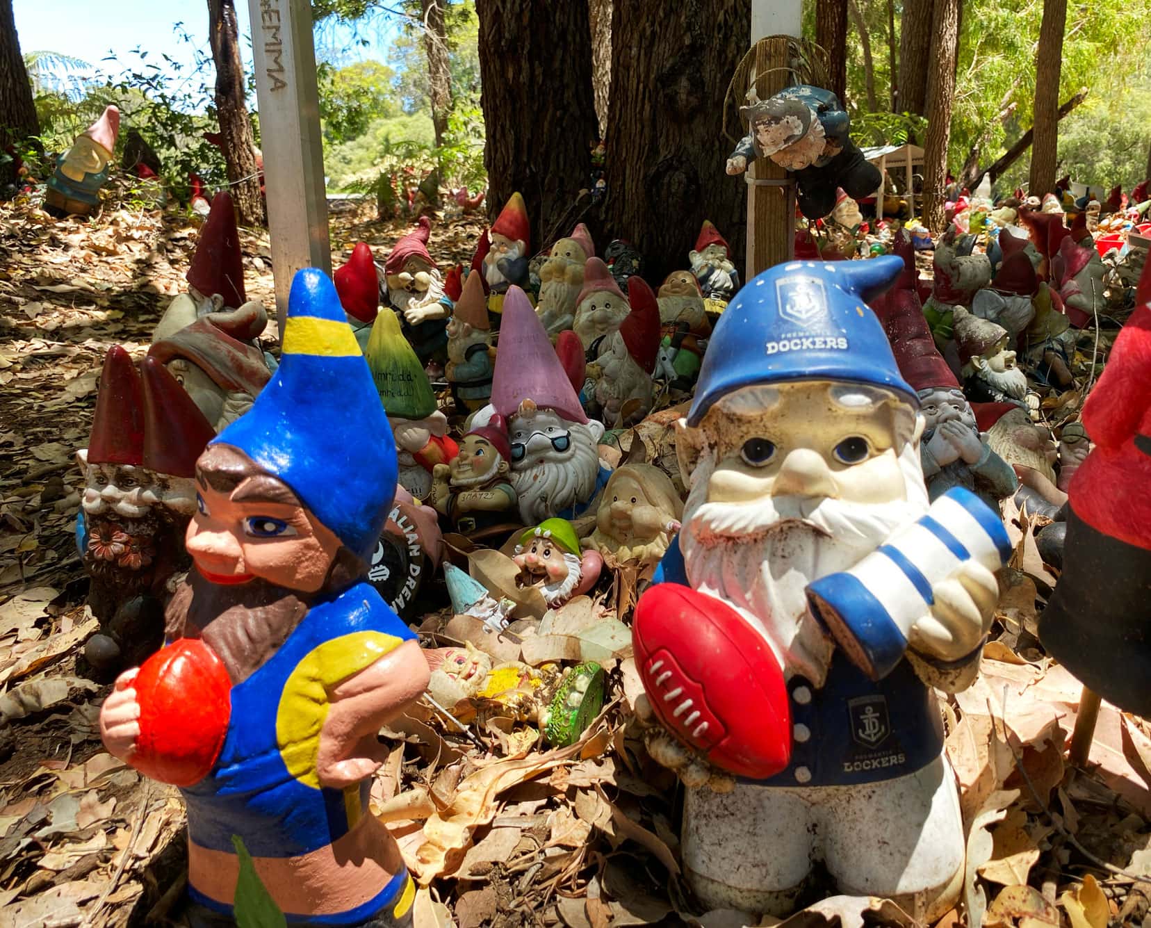 Two footy gnomes at Gnomesville - a Docker and an Eagles supporter 