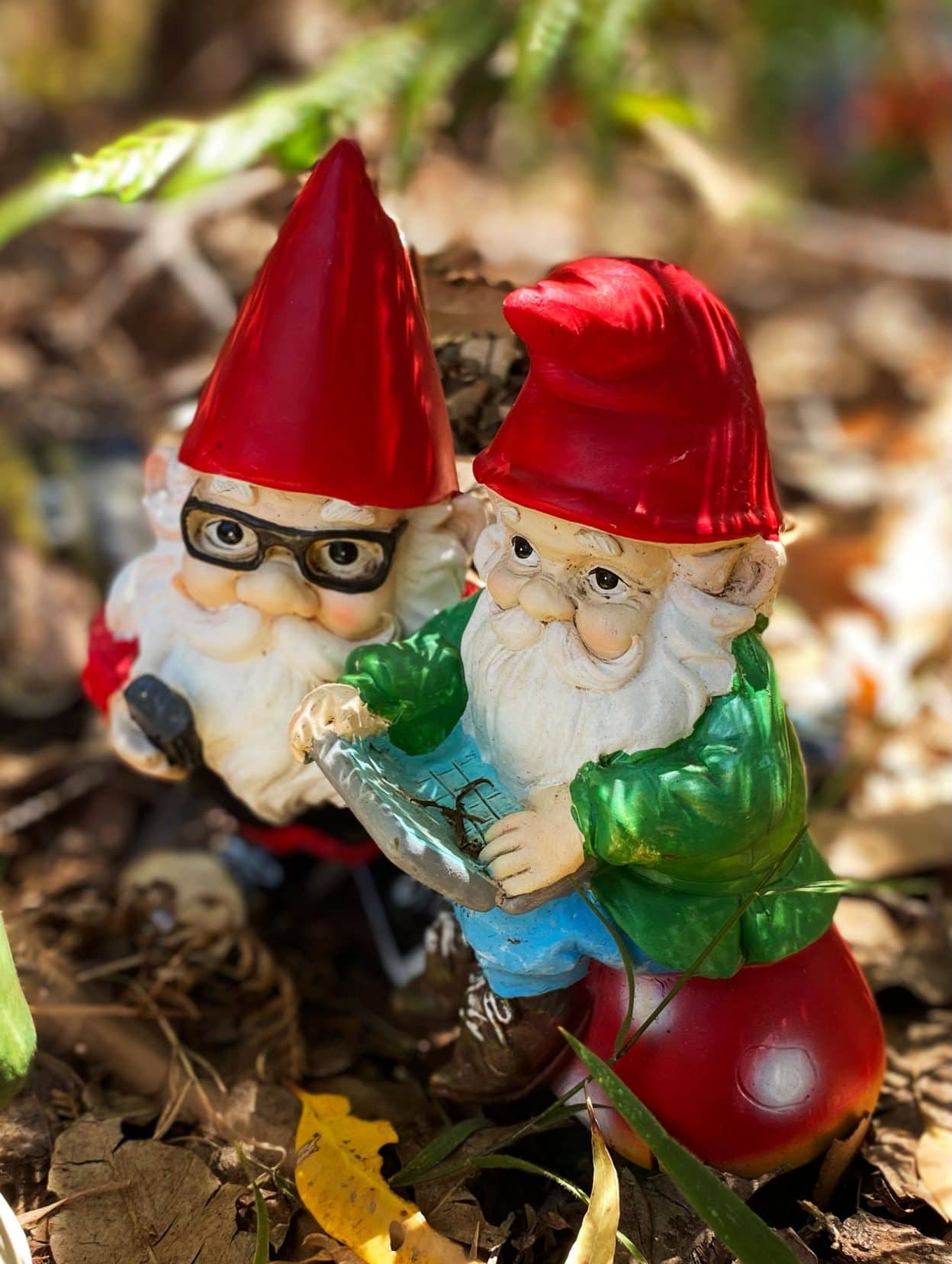 A couple fo gnomes 