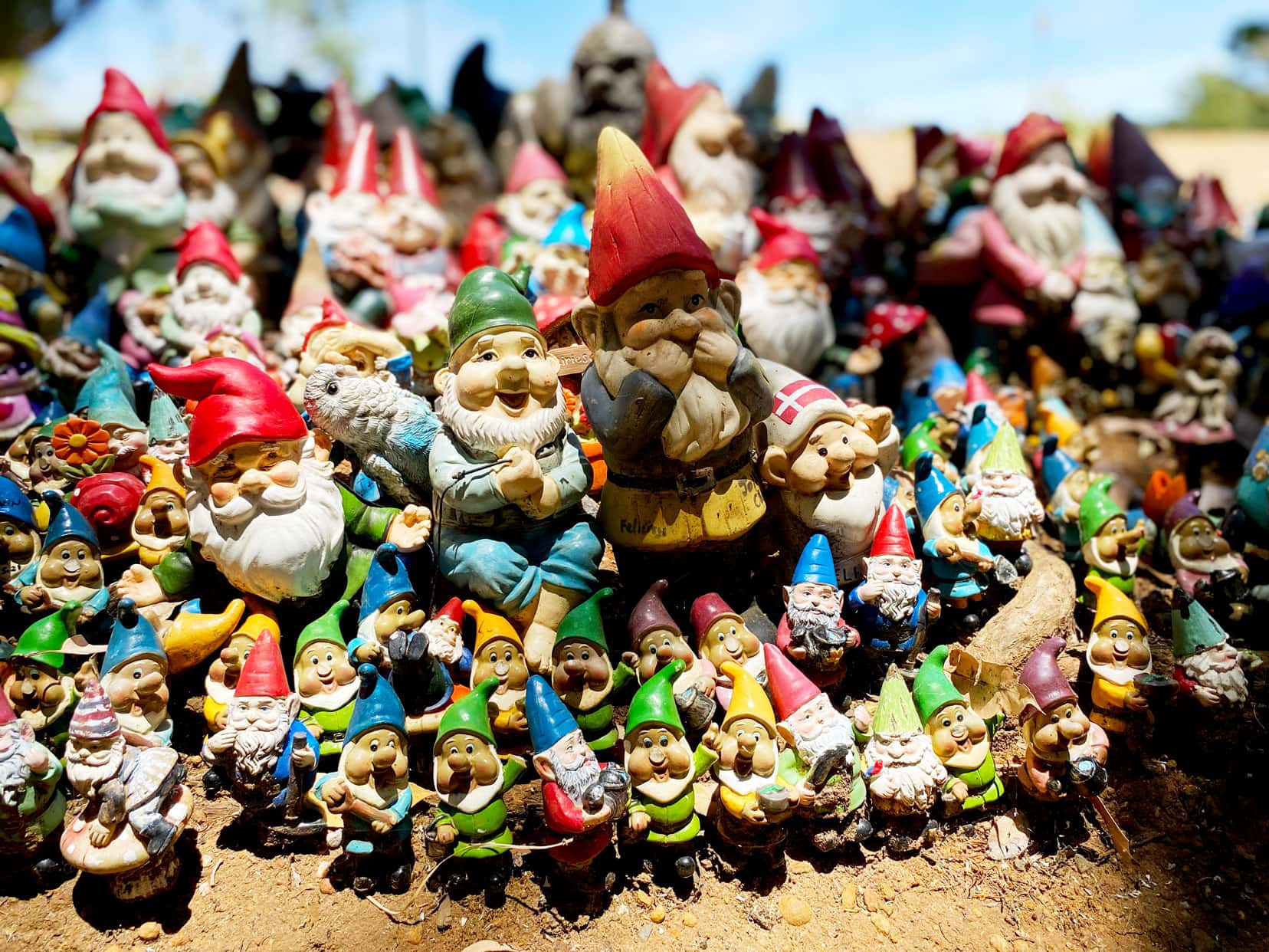 Selection of gnomes all sorts and sizes at Gnomesville Ferguson Valley WA
