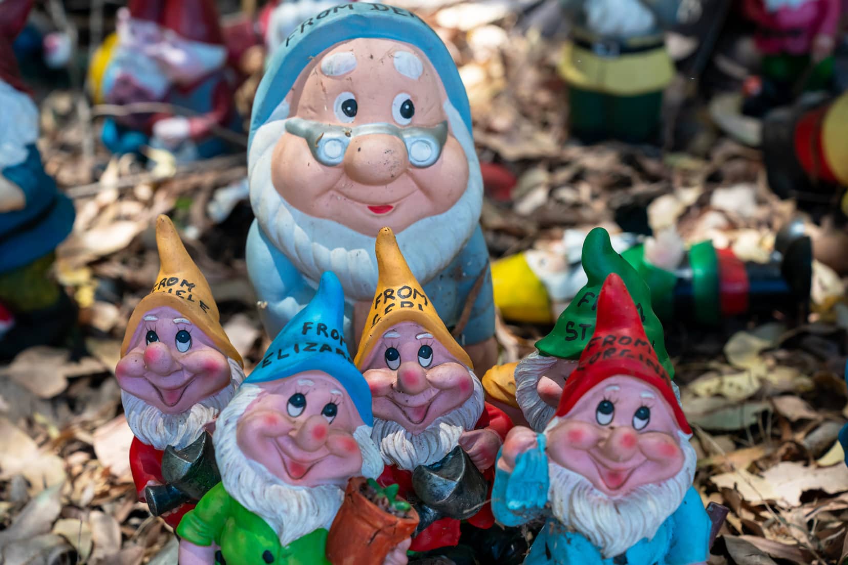 Gnomes that look like dwarves