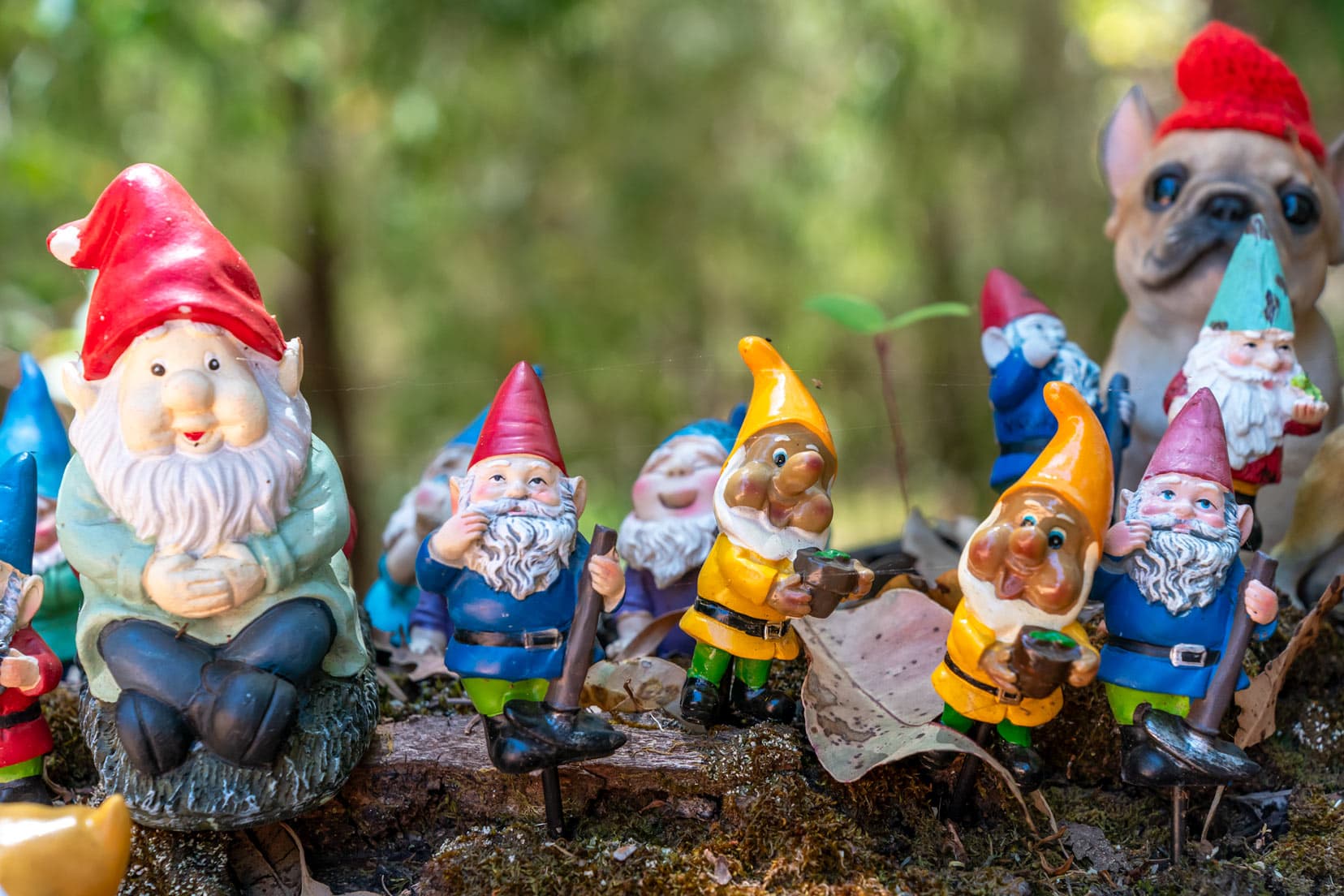 A few gnomes with their gardening tools 