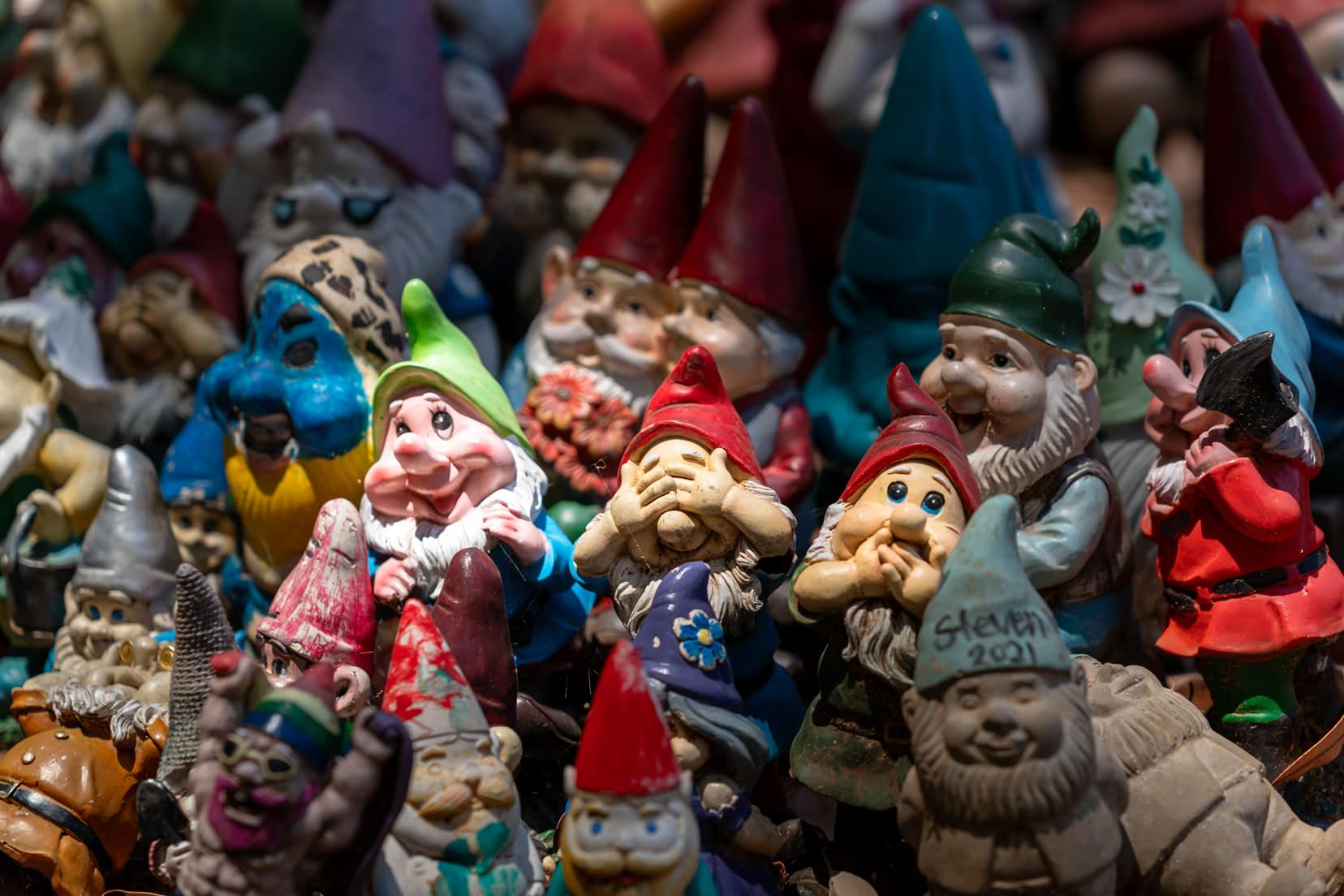 Group of gnomes