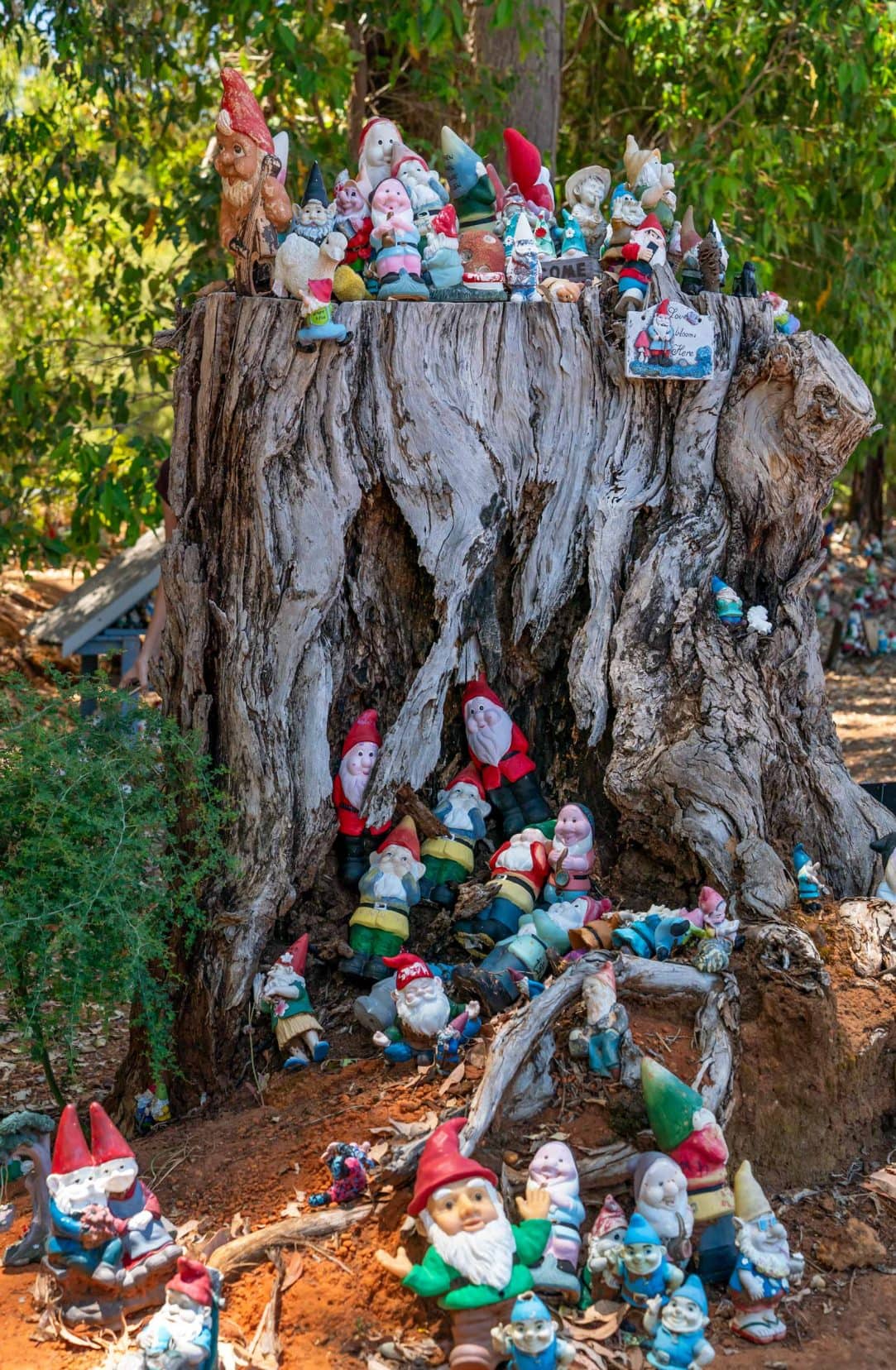 Gnomes gathered at the bottom and top of a tree trunk