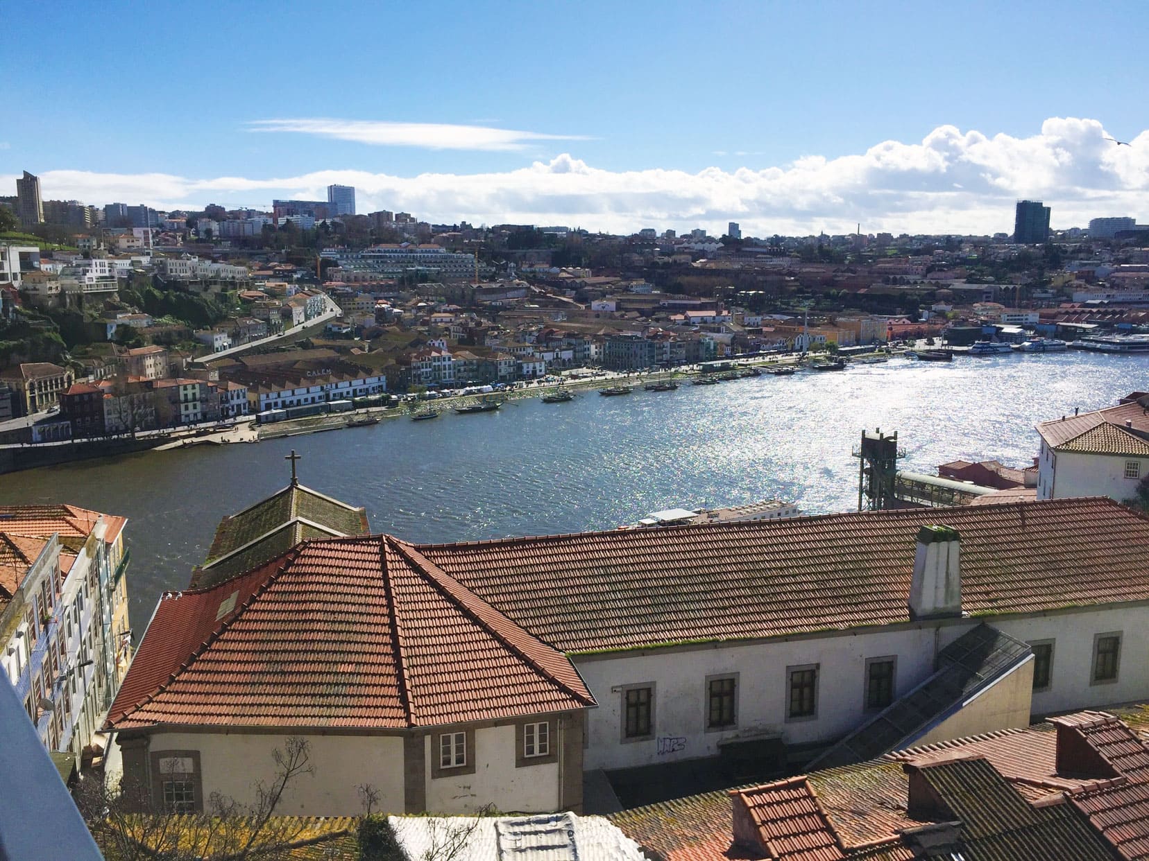 View of Douro River and roof tops