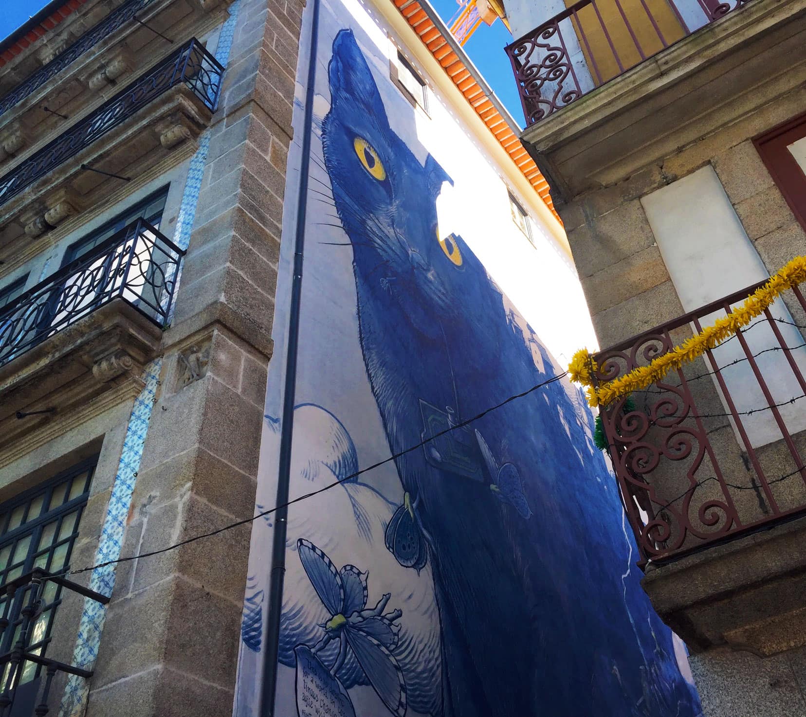 one-day-in-porto-Blue-cat mural 