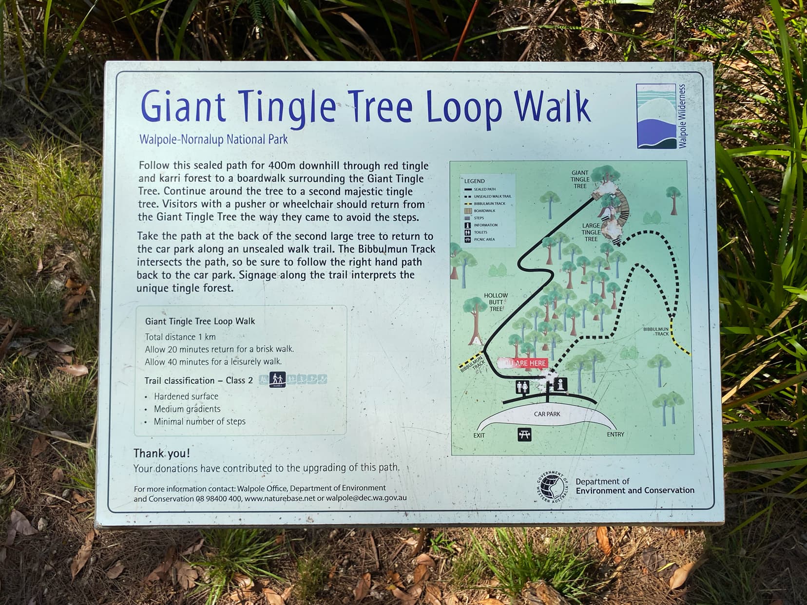 Giant-Tingle-Tree-loop-walk-sign