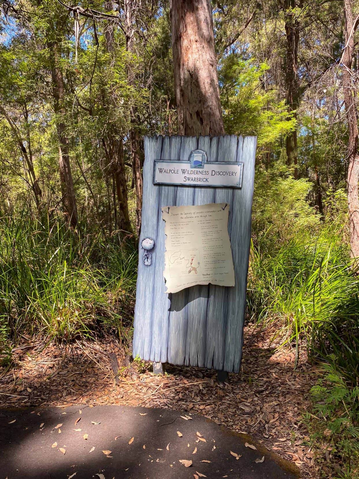 Swarbrick Art Loop door of perception - a blue dooor placed against a tree among the forest 
