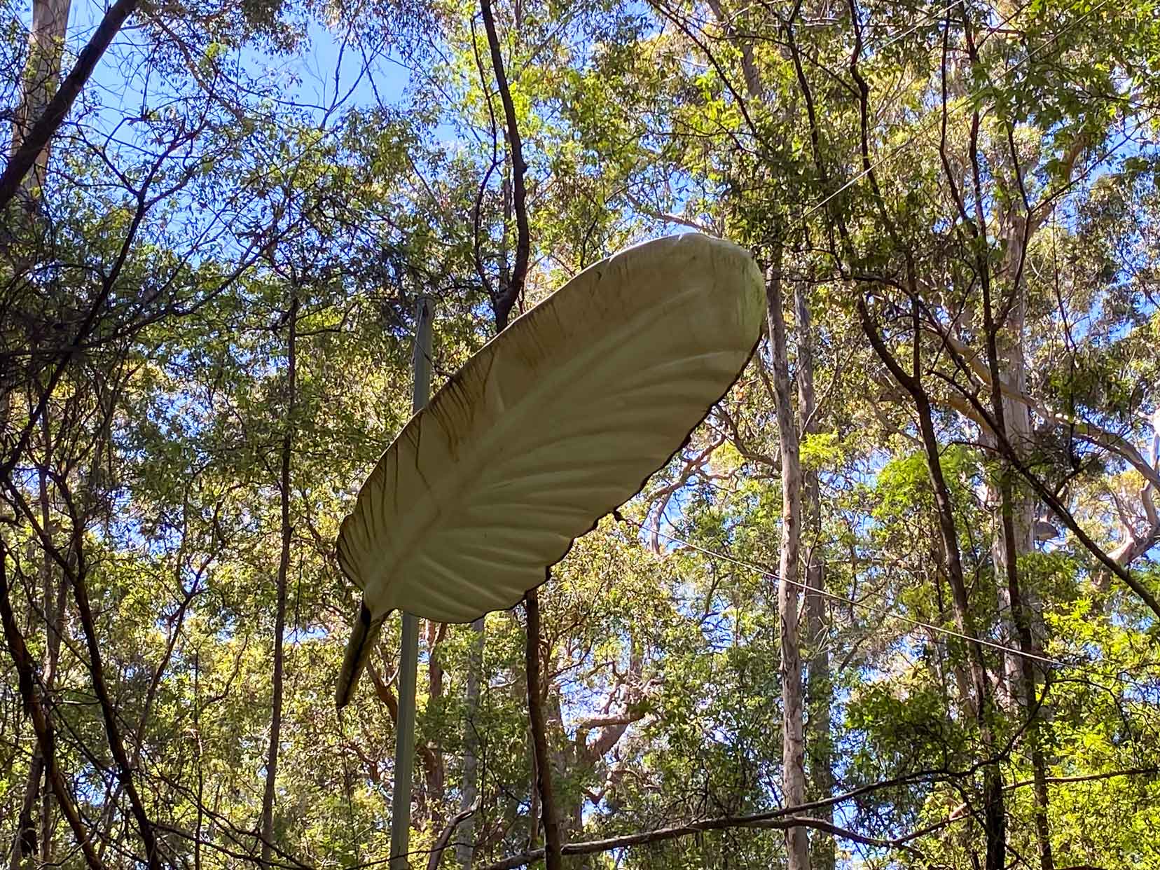 Huge white feather suspended between the forest trees