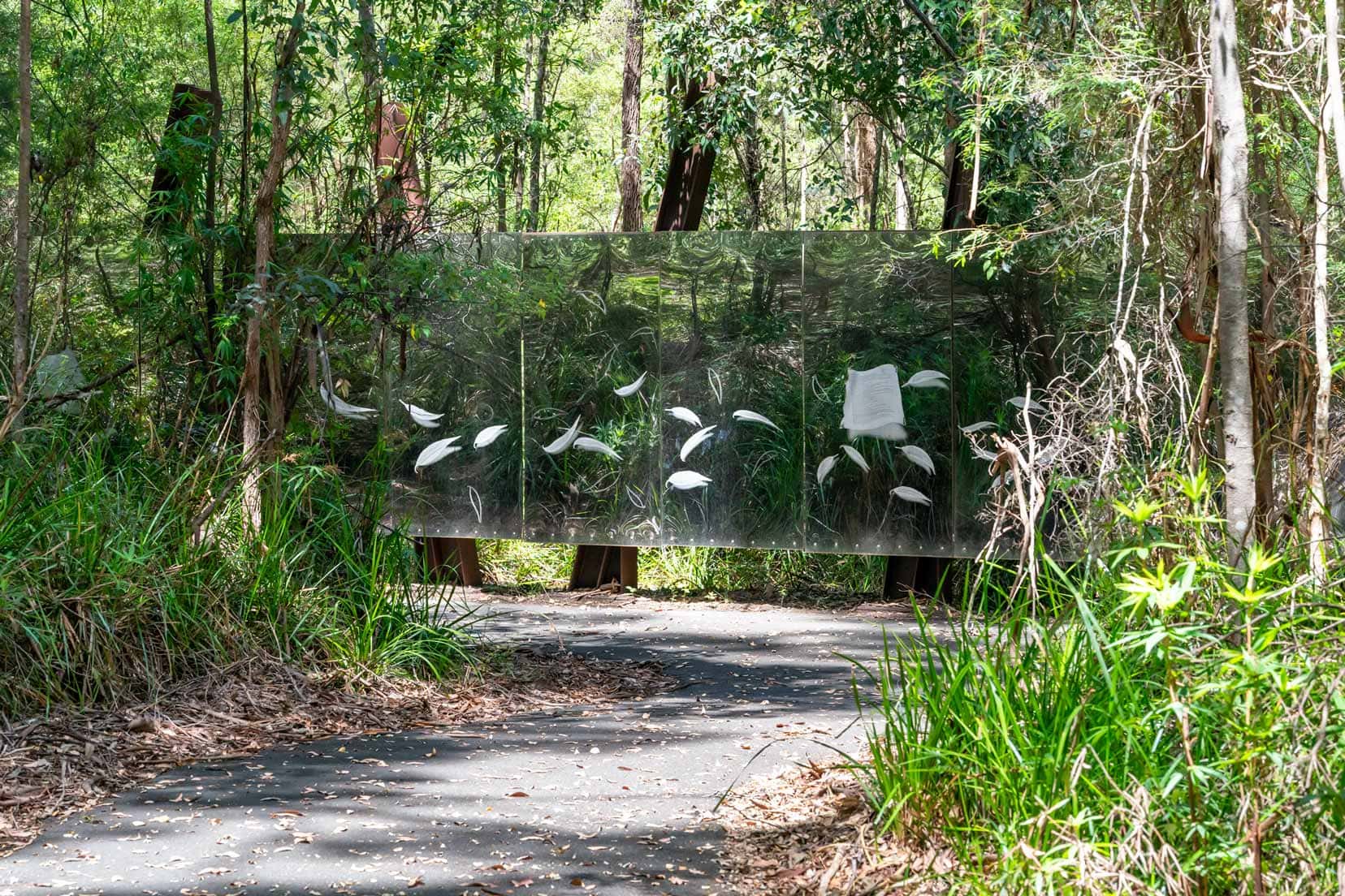 The mirrow wall at Swarbrick Art Loop showing the white feather etchings on it between the forest paths