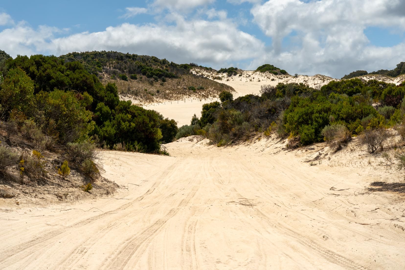 View-of-the-long-incline-on-the-return-drive,-Yeagarup-Dunes