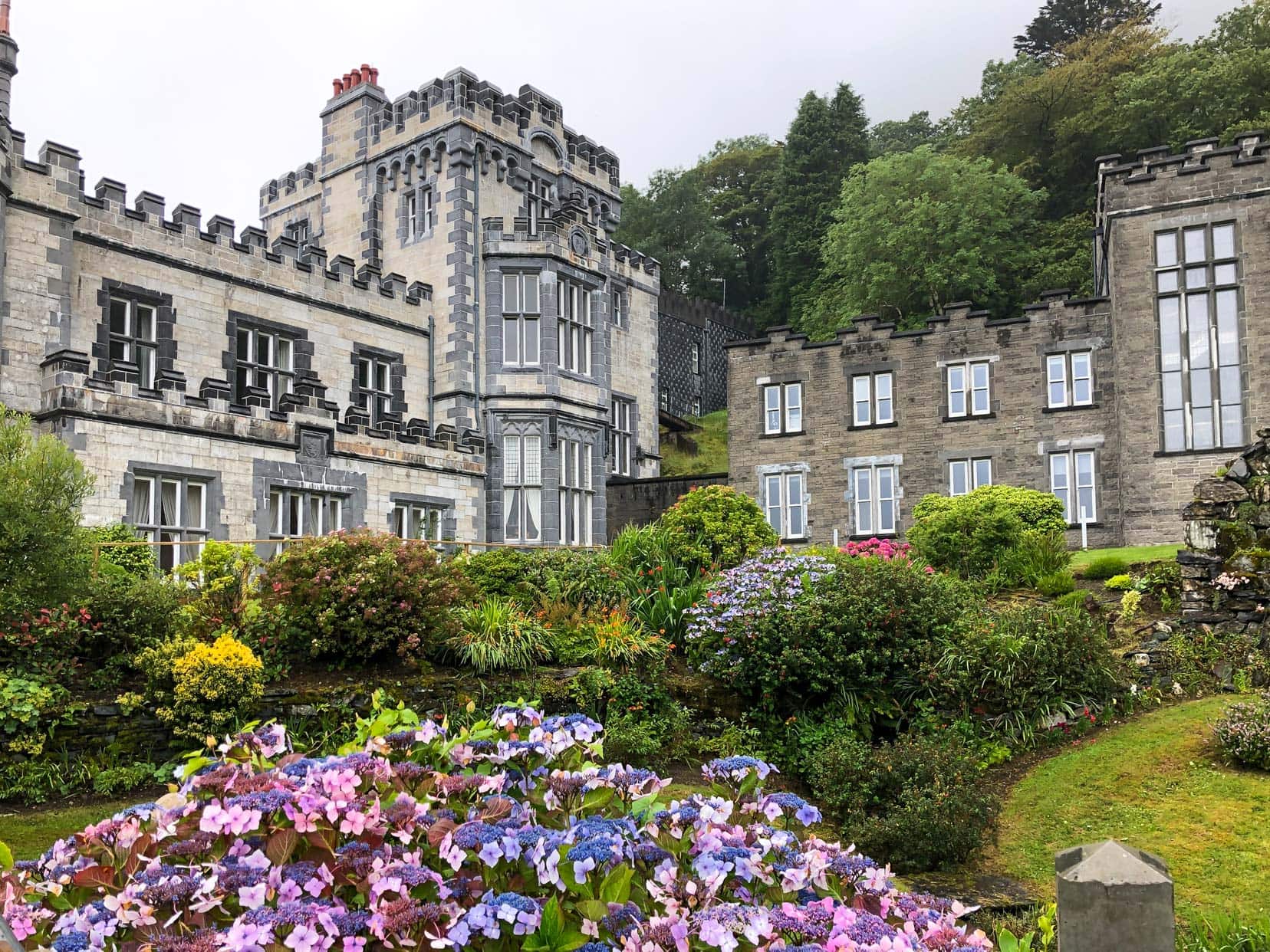 Kylemore-Abbey-building-and-gardens with hydrangeas in the foreground