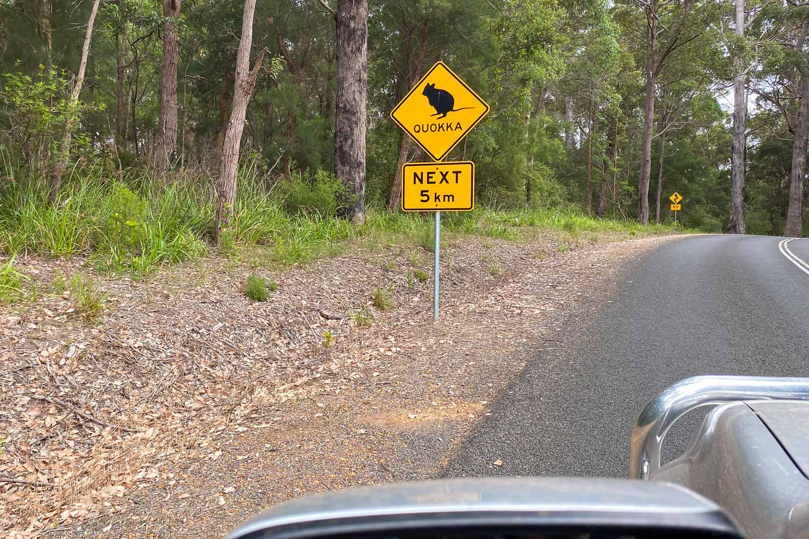 Sign on the road leading to the valley of the giants showing a quokka and Next 5 km