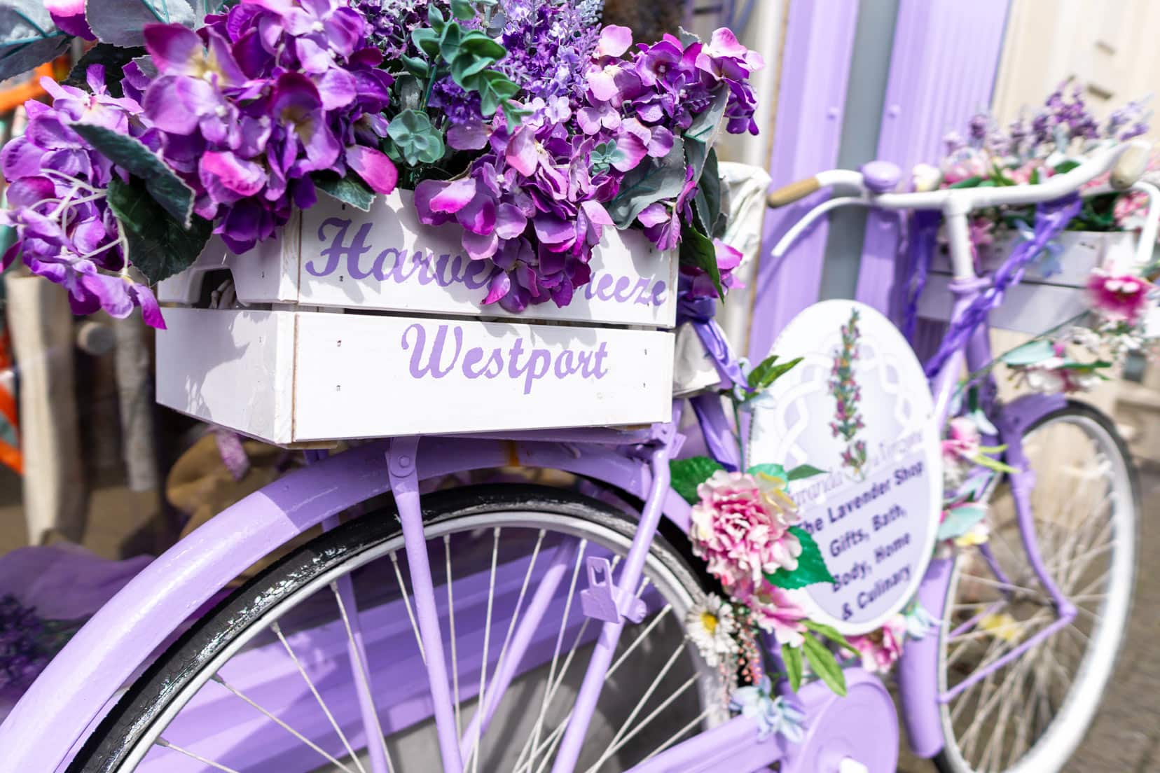 Purple bike adorned with purple flowers and the words Westport written on the side